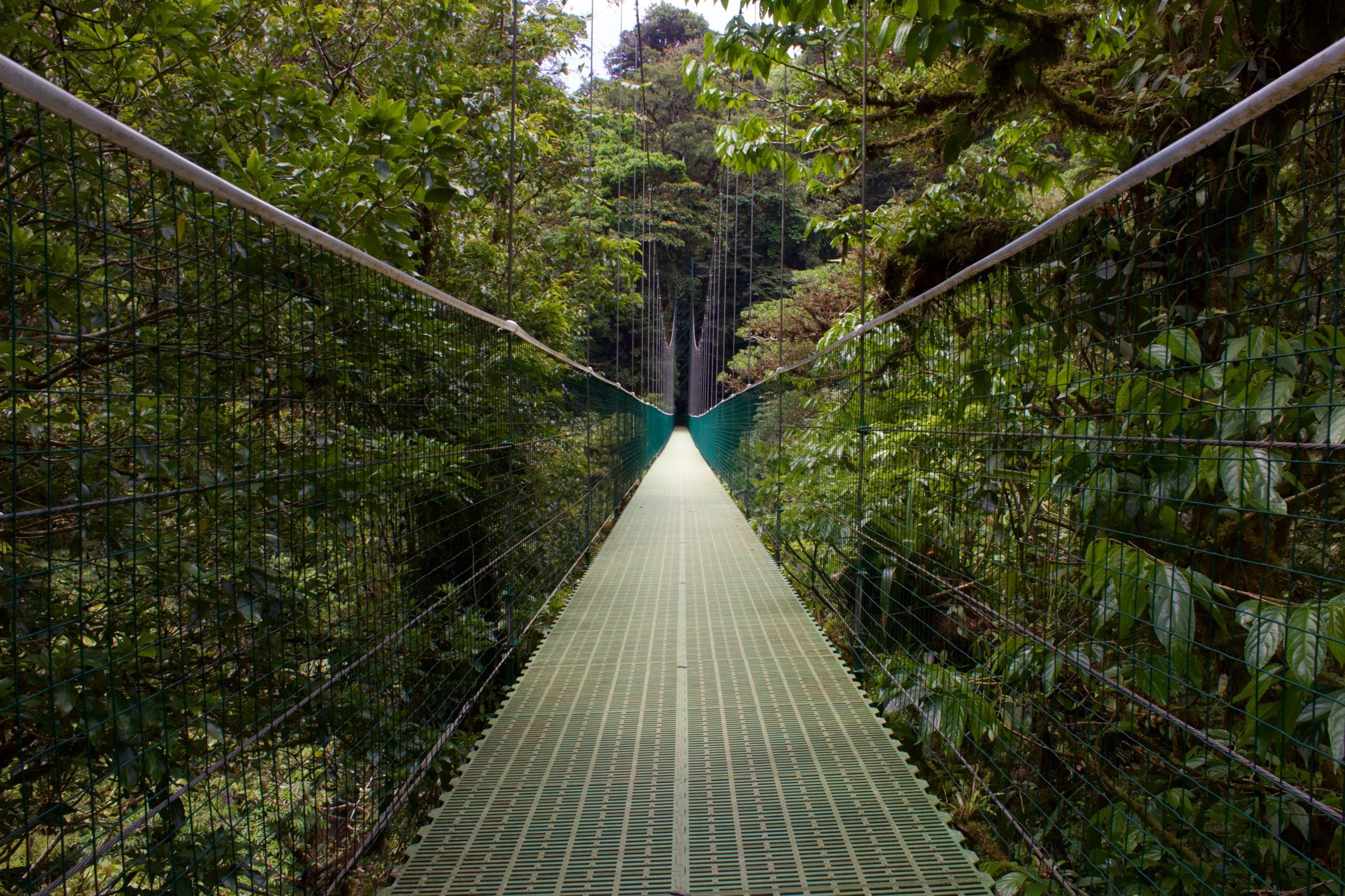 How To Get From Monteverde To San Jose Airport - All Possible Ways, cheapest way from Monteverde to San Jose Airport, Monteverde to San Jose Airport, Monteverde Costa Rica to San Jose Airport, Monteverde to San Jose, Monteverde costa rica to San Jose, Monteverde to San Jose Airport bus
