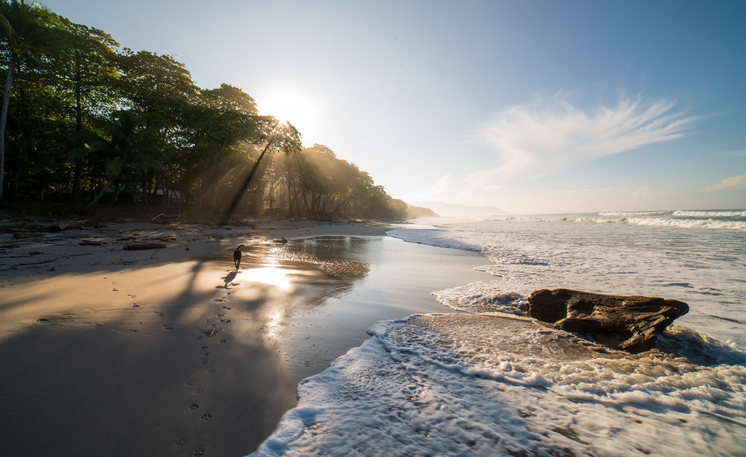 How To Get From Montezuma To Santa Teresa - All Possible Ways, cheapest way from Montezuma to Santa Teresa, Montezuma to Santa Teresa, Montezuma Bus to Santa Teresa