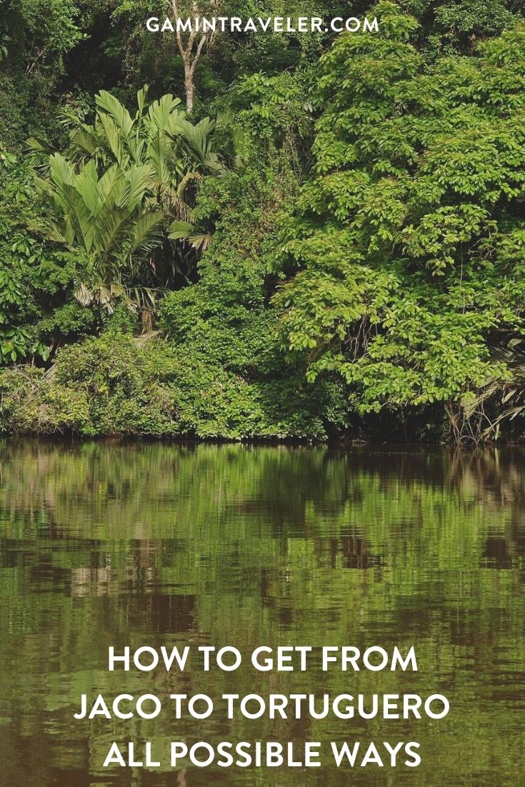How To Get From Jaco To Tortuguero - All Possible Ways, cheapest way from Jaco to Tortuguero, Jaco to Tortuguero, Jaco to Tortuguero bus, La Pavona To Tortuguero, San Jose to Cariari, Cariari to La Pavona, San Jose to Tortuguero