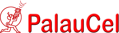 sim card Palau airport, cheapest sim card in Palau, Palaucel Sim Card Palau, Palaucel Palau sim card, best tourist sim card Palau, Palau sim card for tourists, best sim card for Palau, Palau prepaid sim card, Palau sim card for tourist, tourist sim card Palau, prepaid sim card Palau, Palau tourist sim card, sim card in Palau, sim card Palau, Palau sim card airport, Palau sim card, Prepaid Palau Sim Card, Palau data sim card