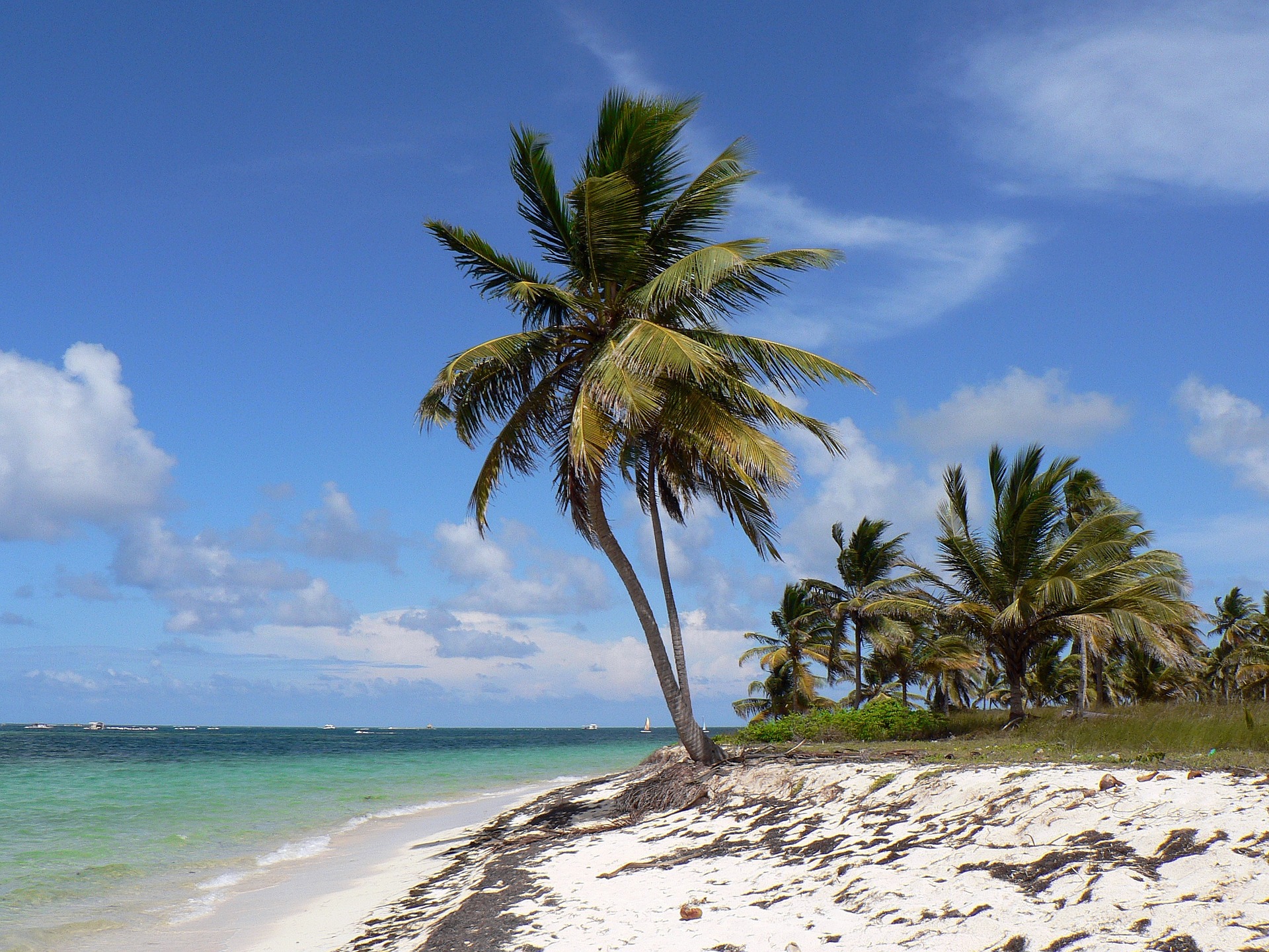 How To Get From Barahona To Punta Cana Airport - All Possible Ways, cheapest way from Barahona to Punta Cana airport, Barahona to Punta Cana, Barahona to Punta Cana bus, Bavaro Bus Expreso Santo Domingo to Punta Cana