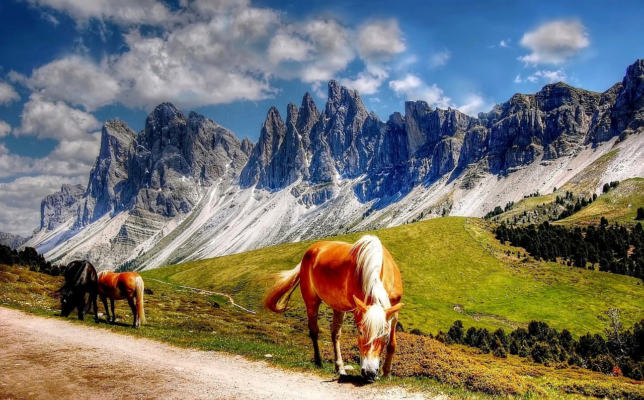 Best Places to Visit in Italy with Kids