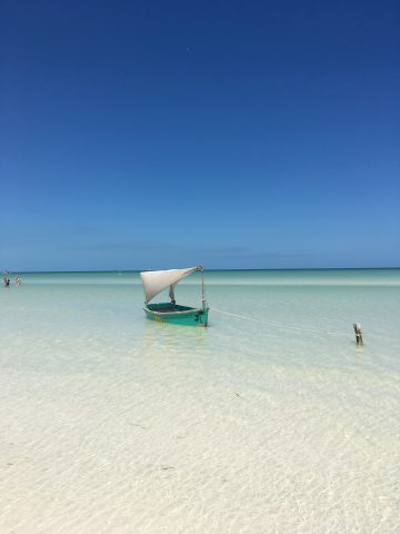 How To Get From Playa Del Carmen to Holbox - All Possible Ways, cheapest way from Playa Del Carmen to Holbox, Playa Del Carmen to Holbox, ado bus Playa Del Carmen to Holbox, shared van Playa del carmen to Holbox, Colectivo Playa Del Carmen to Holbox, Uber from Playa Del Carmen to Holbox, taxi from playa del carmen to Holbox