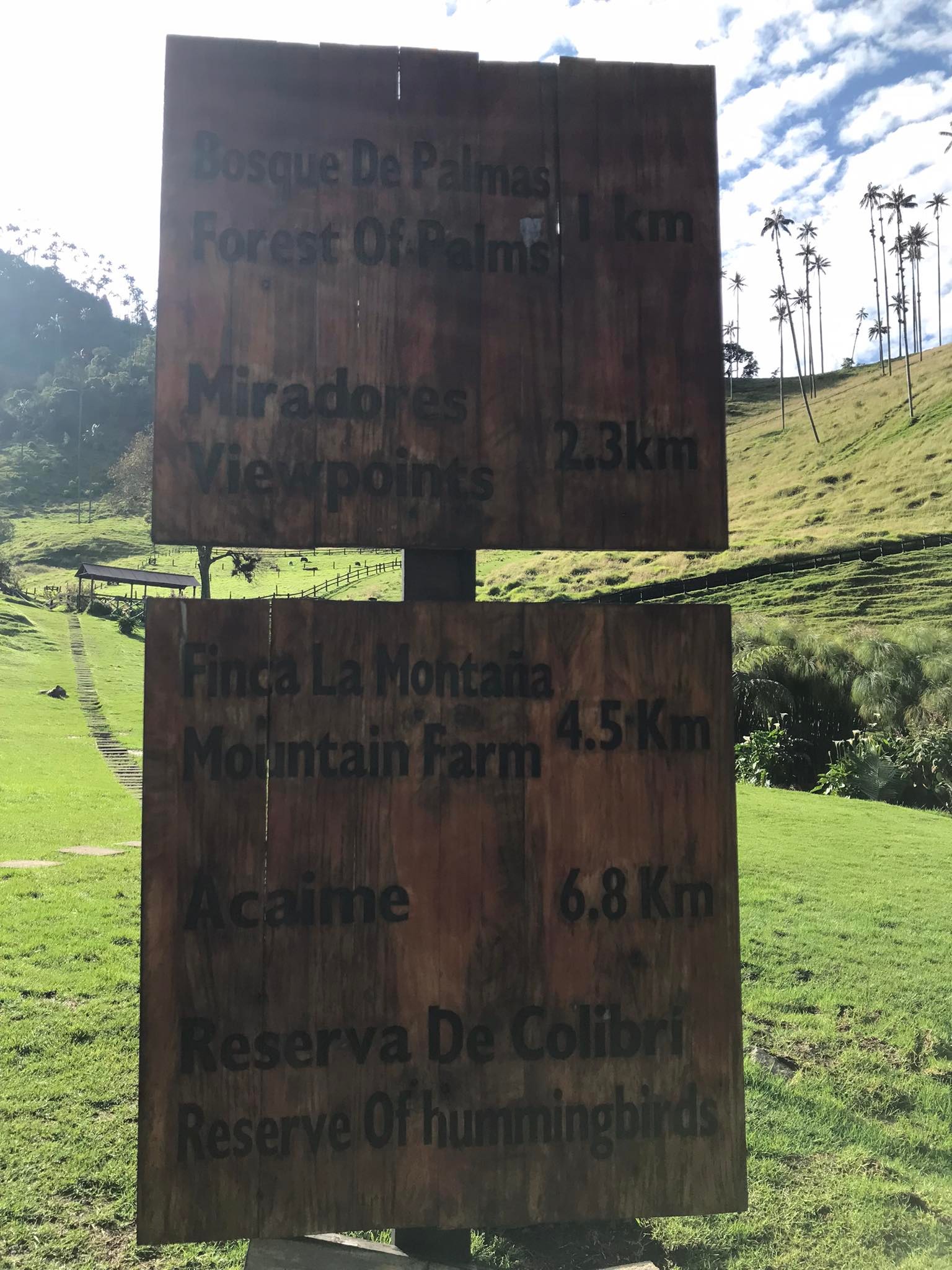 How To Get From Medellin to Salento Best Way - All Possible Ways, cheapest way from Medellin to Salento, Medellin to Salento bus, Medellin to Salento, bus schedule from Medellin to Salento, private transfer from Medellin to Salento, taxi from Medellin to Salento