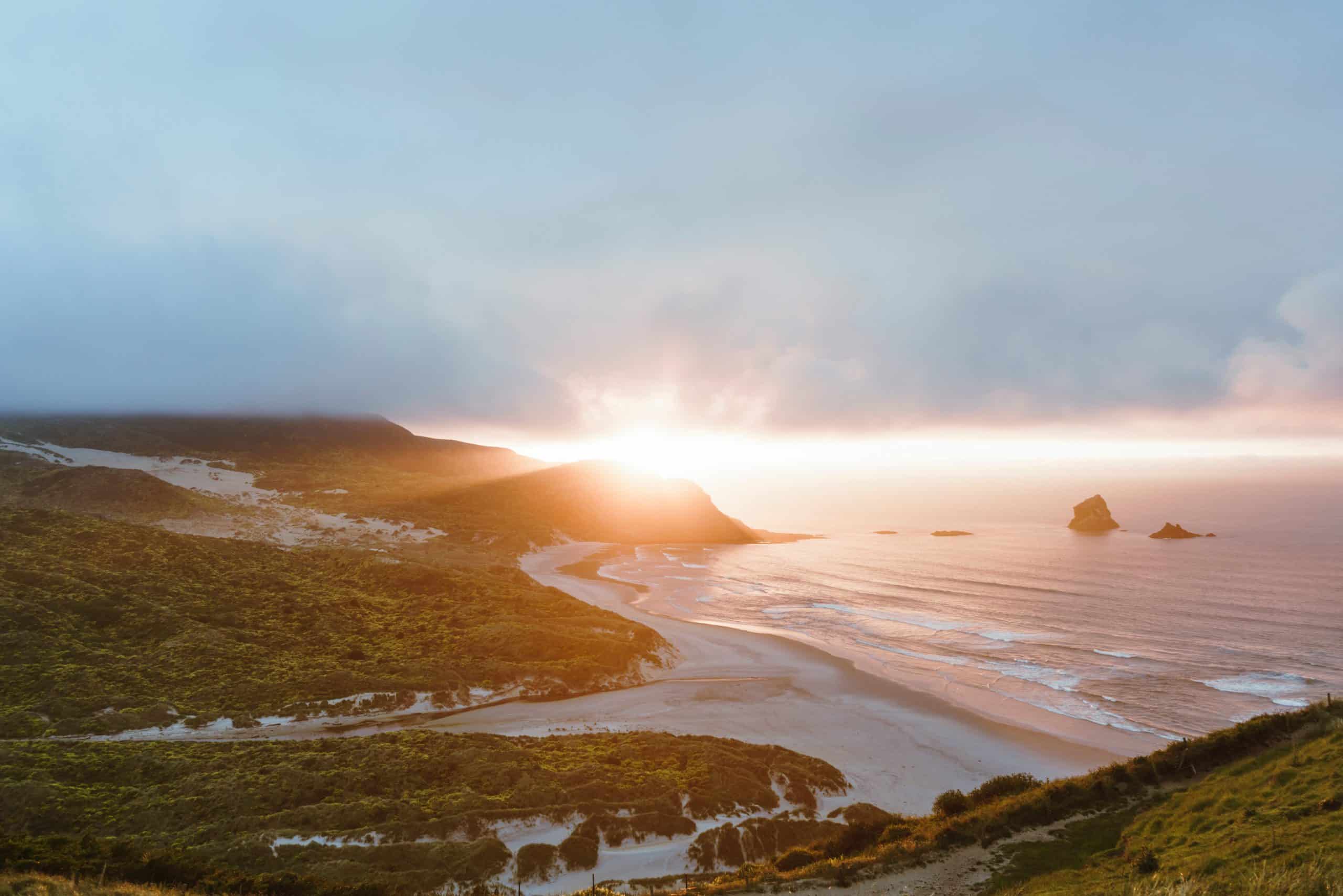 How To Get From Dunedin Airport To City Center - All Possible Ways, cheapest way from Dunedin airport to Downtown, cheapest way from Dunedin airport to city, Dunedin airport to city center, Dunedin airport to Dunedin, Dunedin Bus Airport, bus from Dunedin airport to city center, taxi Dunedin airport to city center, Uber Dunedin airport to city, train Dunedin airport to city center, shuttle bus Dunedin airport to city center