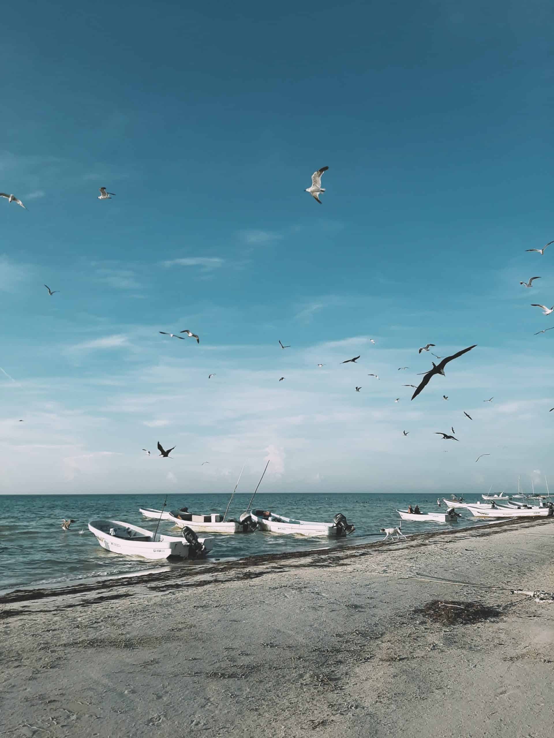 Holbox vs Isla Mujeres - Which One is Worth Visiting