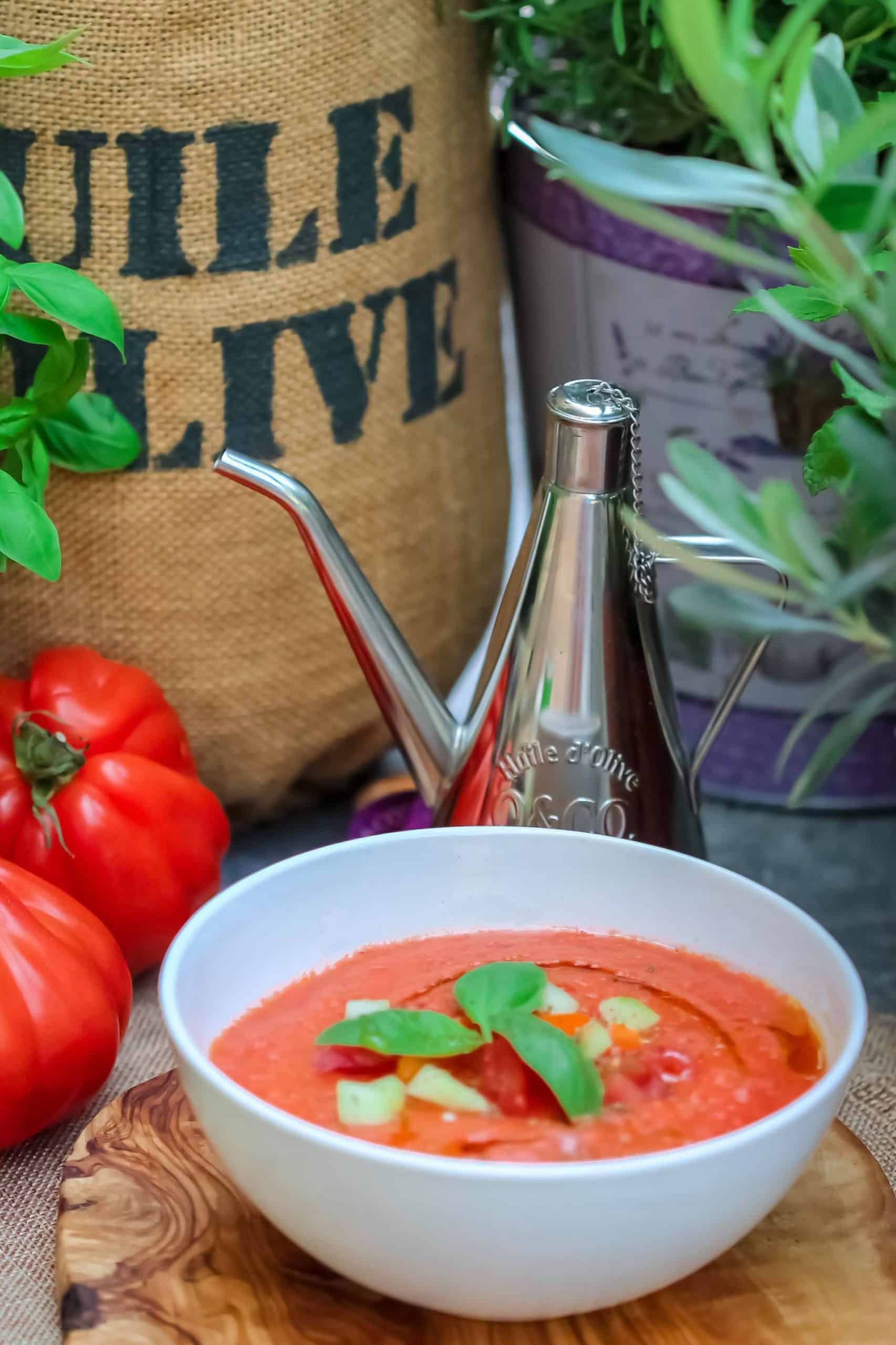Spanish vegetarian dishes, Gazpacho, vegetarian food in Spain, vegan food in Spain, Spainish vegetarian dishes, vegan in Spain, vegetarian in Spain, plant based food in Spain
