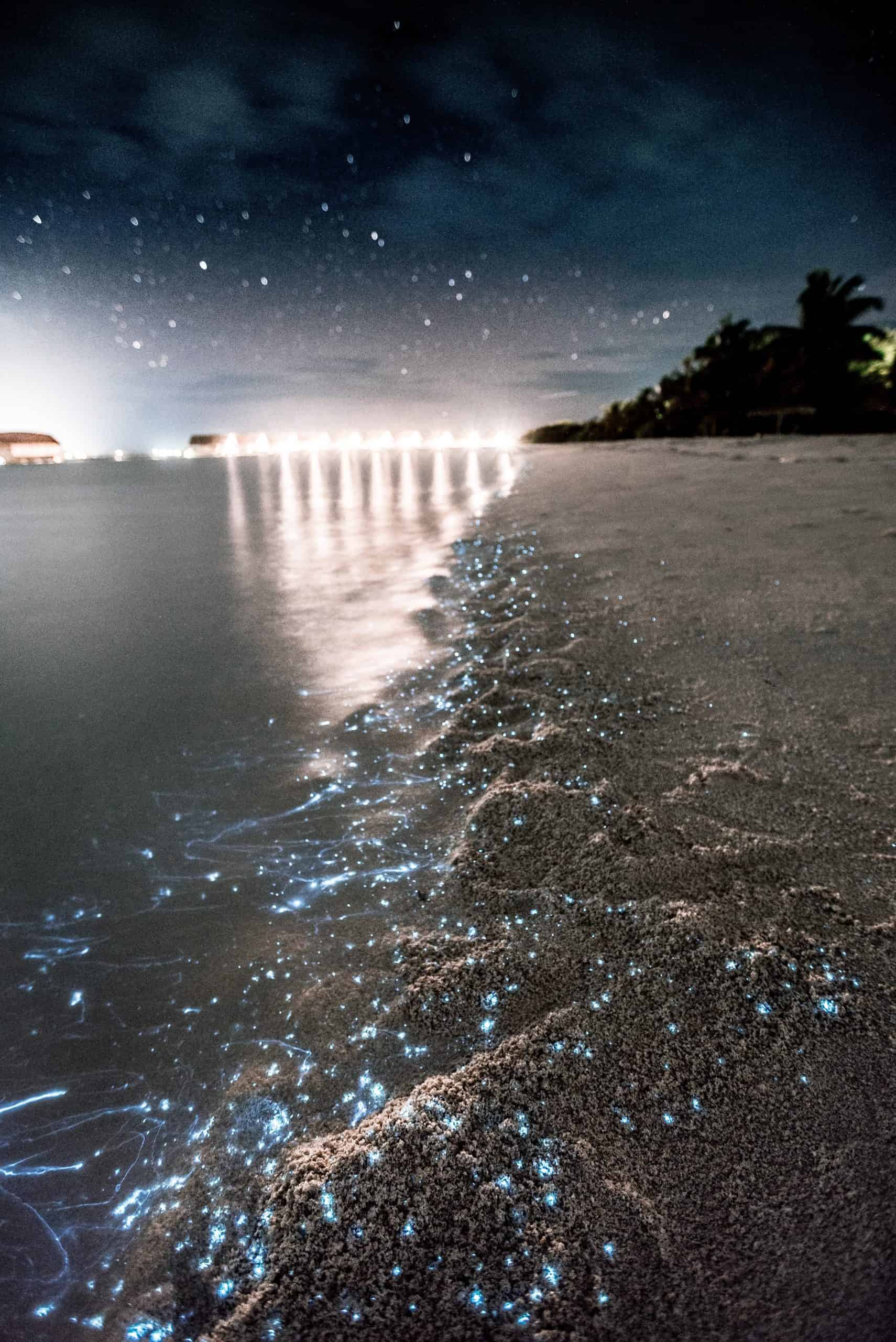 Holbox vs Isla Mujeres - Which One is Worth Visiting