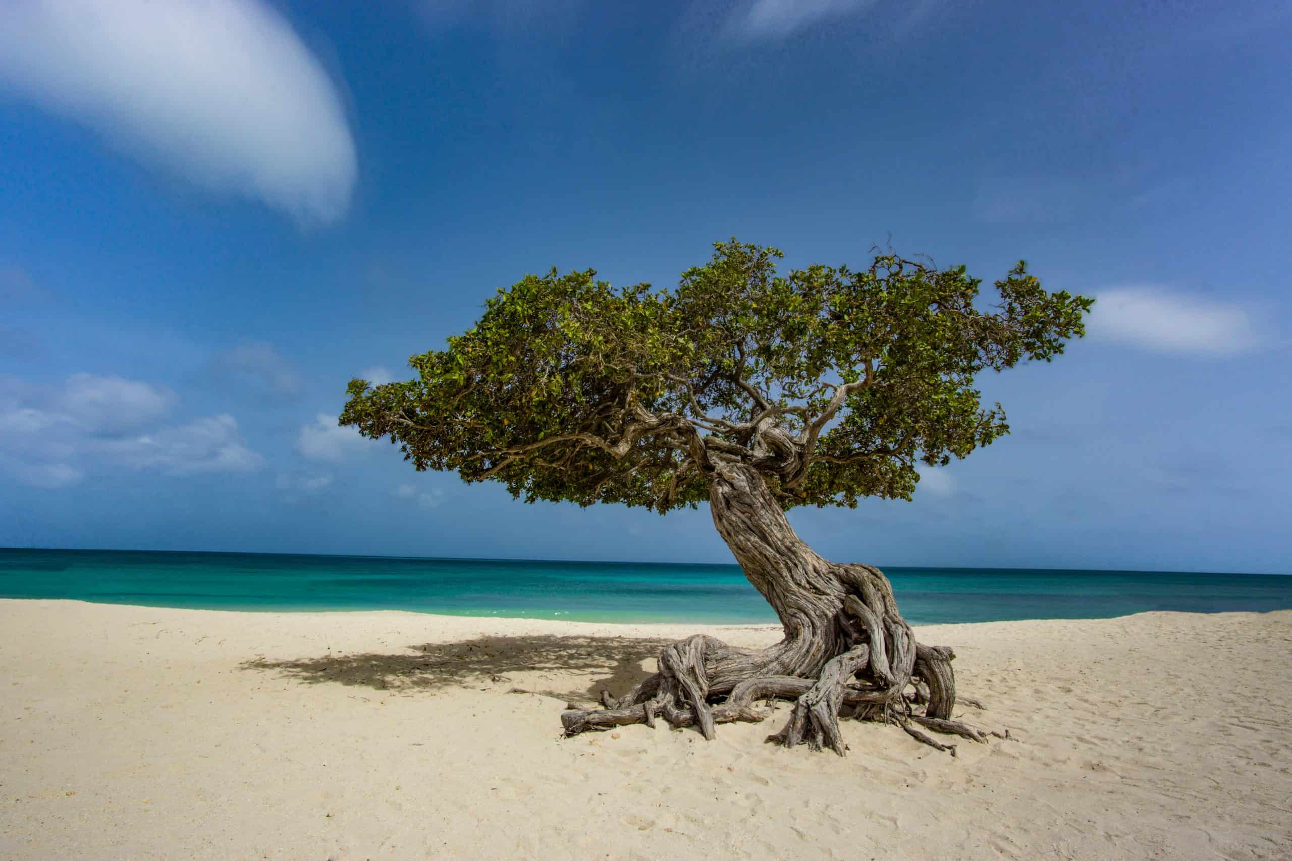 Aruba vs Belize - Which is the Better Vacation?