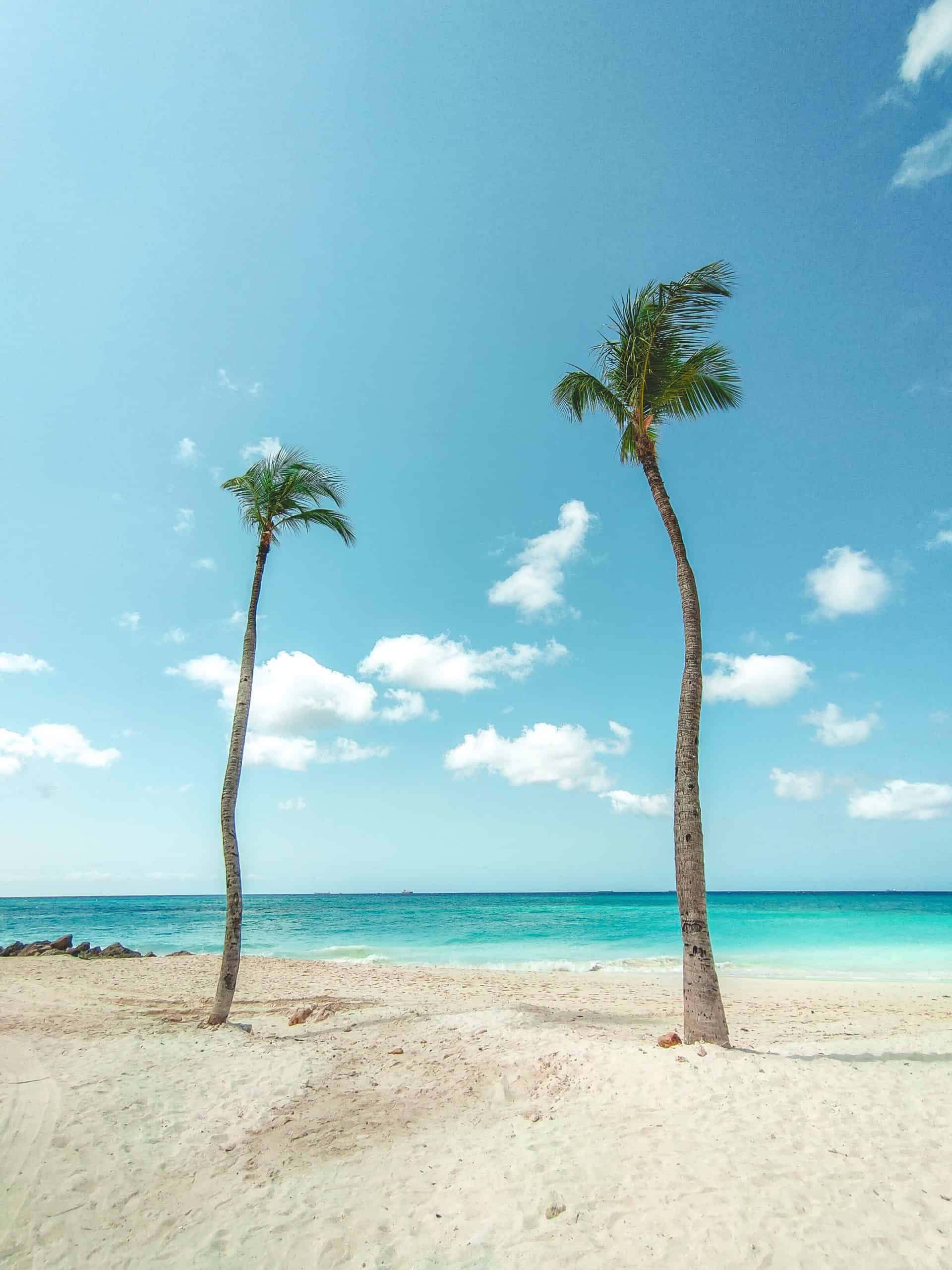 Aruba vs Curacao - Which is the Better Caribbean Trip?