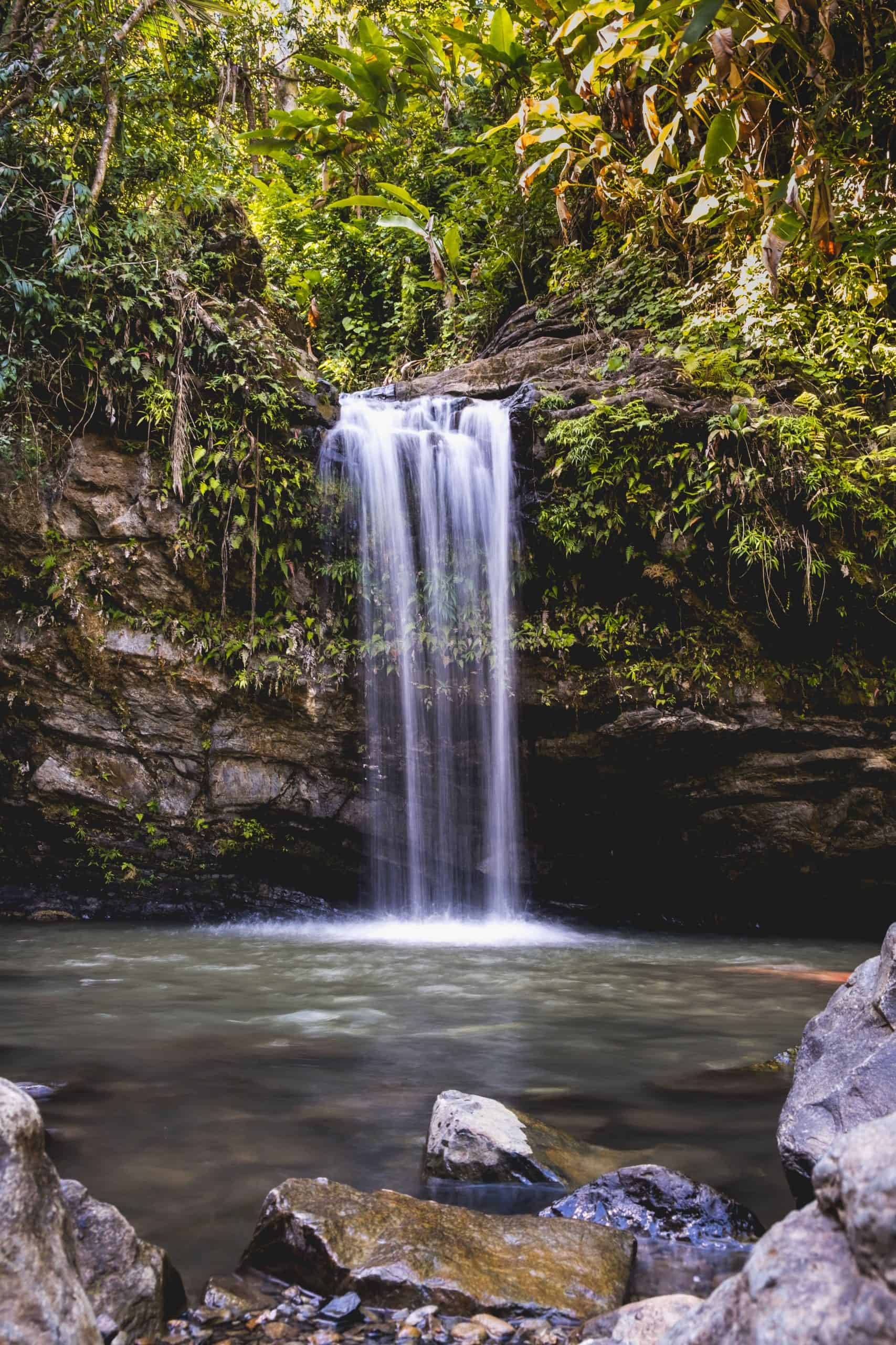 El Yunque National Forest in Puerto Rico, Puerto Rico vs Bahamas - Choosing Your Next Best Caribbean Vacation