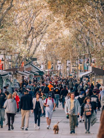 Why Is Barcelona Overrated? Reasons to Travel Outside Barcelona and Where to Visit Instead, 12 Worst Travel Experiences to Watch Out For in 2025, 12 Most Popular Tourist Traps in Spain And How To Avoid Them, 10 Mistakes To Avoid Being A Tourist, 10 Reasons Why Travel Is Overrated, 8 Reasons Why Not to Visit Barcelona And 7 Reasons To Visit, 7 Tourist Traps to Avoid in Barcelona, Tourist Traps in Europe And How to Avoid Them, How To Get From Barcelona Airport To Las Ramblas - All Possible Ways, cheapest way from Barcelona airport to Las Ramblas, Barcelona airport to Las Ramblas, METRO Barcelona airport to Las Ramblas, Barcelona Bus Airport, bus from Barcelona airport to Las Ramblas, taxi Barcelona airport to Las Ramblas, Uber Barcelona airport to Las Ramblas, metro FARE Barcelona airport to Las Ramblas, train fare Barcelona airport to Las Ramblas, Barcelona airport to Las Ramblas, bus fare Barcelona airport to Las Ramblas, train Barcelona Airport To Las Ramblas