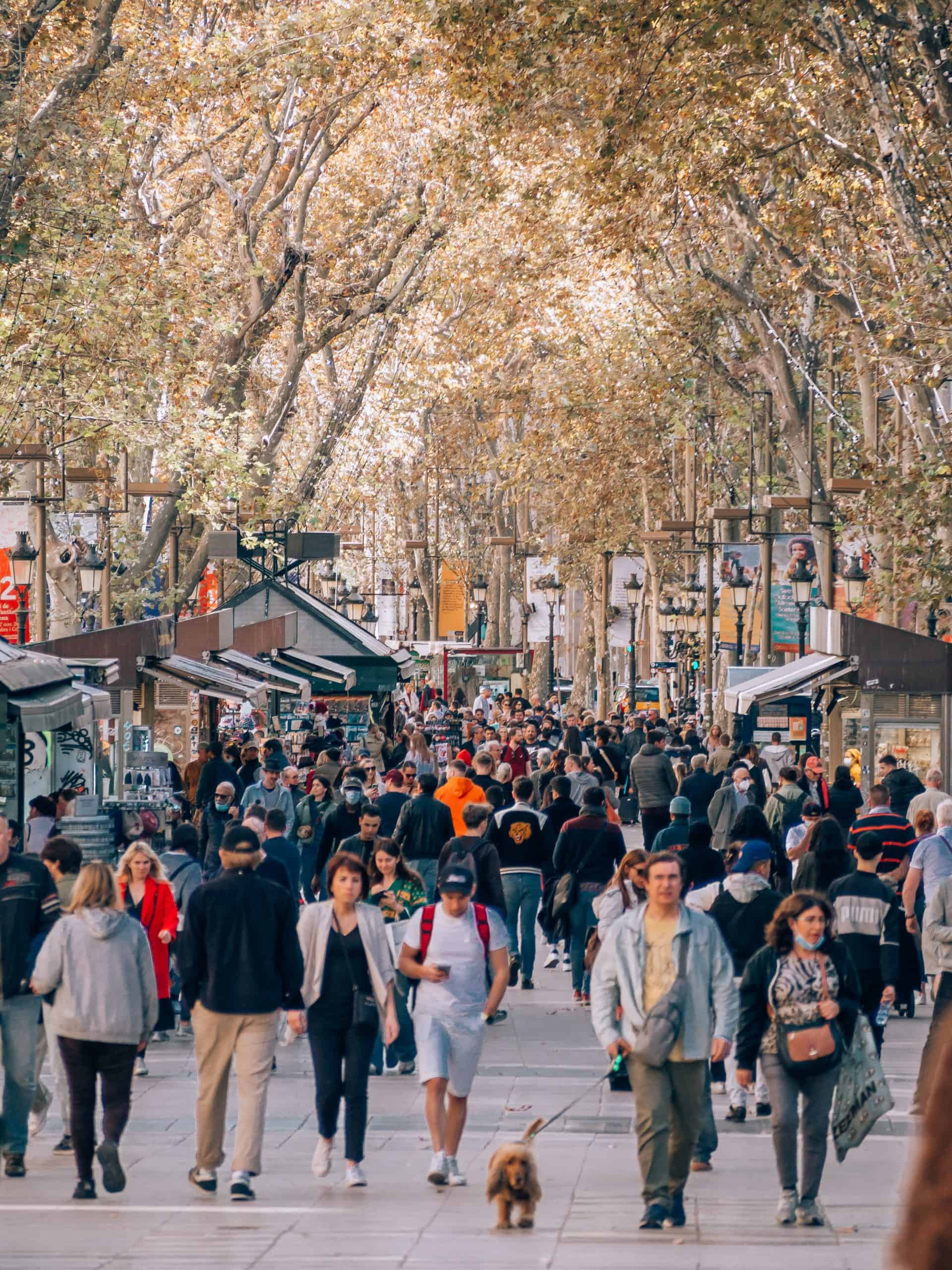 Why Is Barcelona Overrated? Reasons to Travel Outside Barcelona and Where to Visit Instead, 12 Worst Travel Experiences to Watch Out For in 2025, 12 Most Popular Tourist Traps in Spain And How To Avoid Them, 10 Mistakes To Avoid Being A Tourist, 10 Reasons Why Travel Is Overrated, 8 Reasons Why Not to Visit Barcelona And 7 Reasons To Visit, 7 Tourist Traps to Avoid in Barcelona, Tourist Traps in Europe And How to Avoid Them, How To Get From Barcelona Airport To Las Ramblas - All Possible Ways, cheapest way from Barcelona airport to Las Ramblas, Barcelona airport to Las Ramblas, METRO Barcelona airport to Las Ramblas, Barcelona Bus Airport, bus from Barcelona airport to Las Ramblas, taxi Barcelona airport to Las Ramblas, Uber Barcelona airport to Las Ramblas, metro FARE Barcelona airport to Las Ramblas, train fare Barcelona airport to Las Ramblas, Barcelona airport to Las Ramblas, bus fare Barcelona airport to Las Ramblas, train Barcelona Airport To Las Ramblas