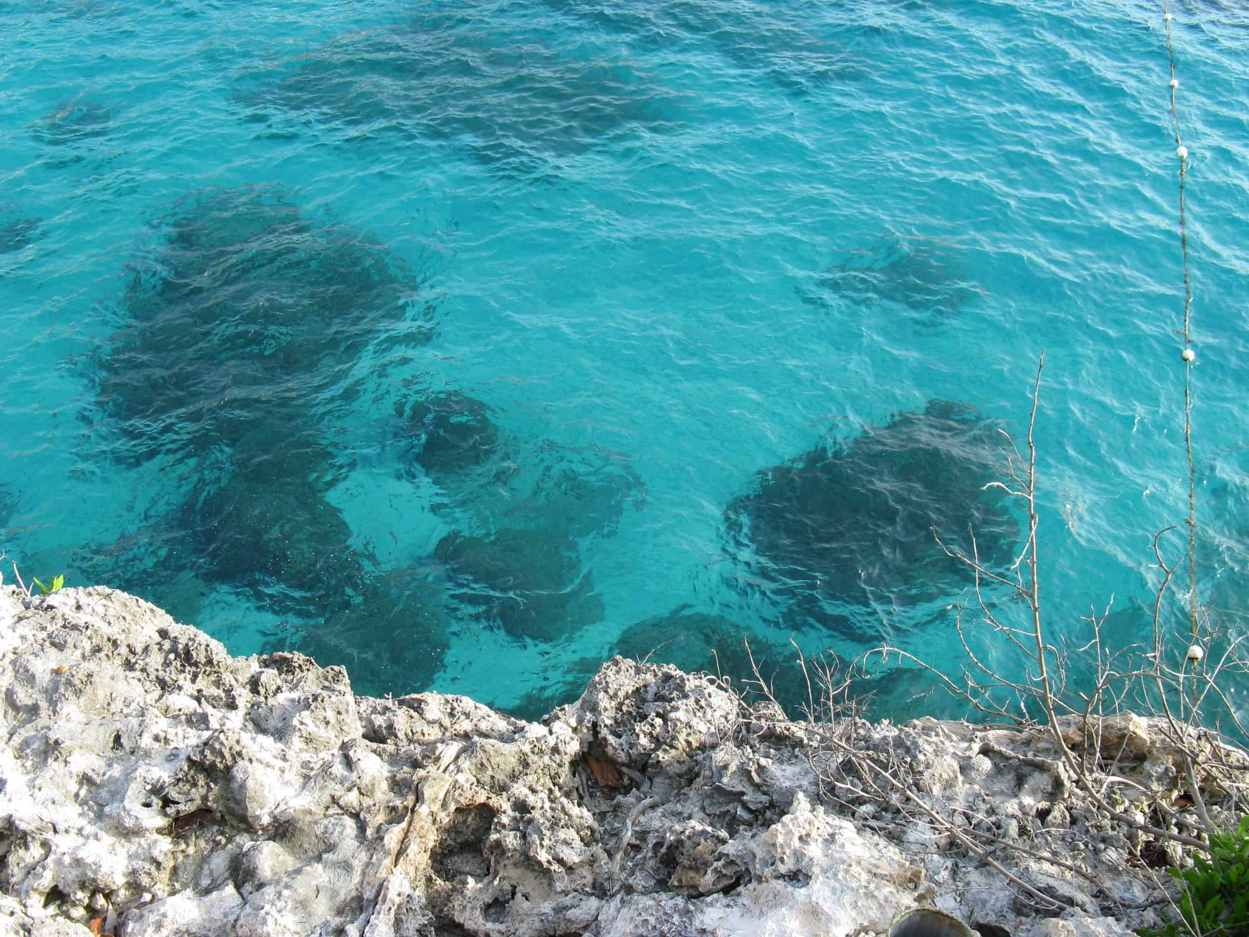 Negril vs Montego Bay - 10 Ways in Choosing the Best Jamaican Holiday