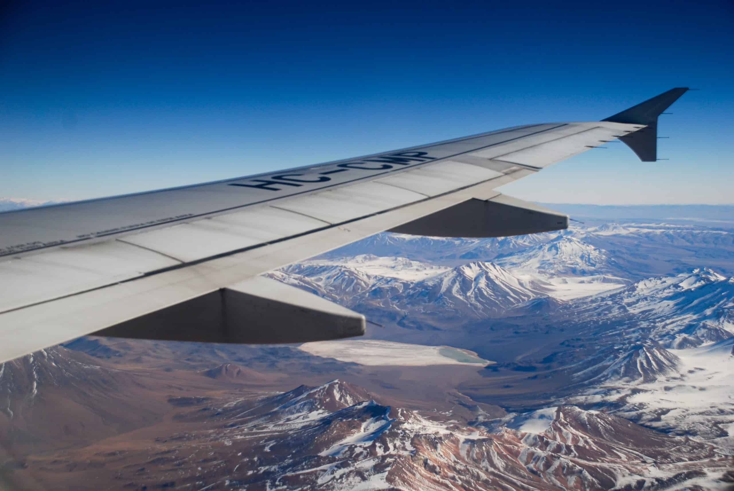 International Pet Travel 101: How to Prepare, Thrifty Tips for Booking a Short Break This Winter