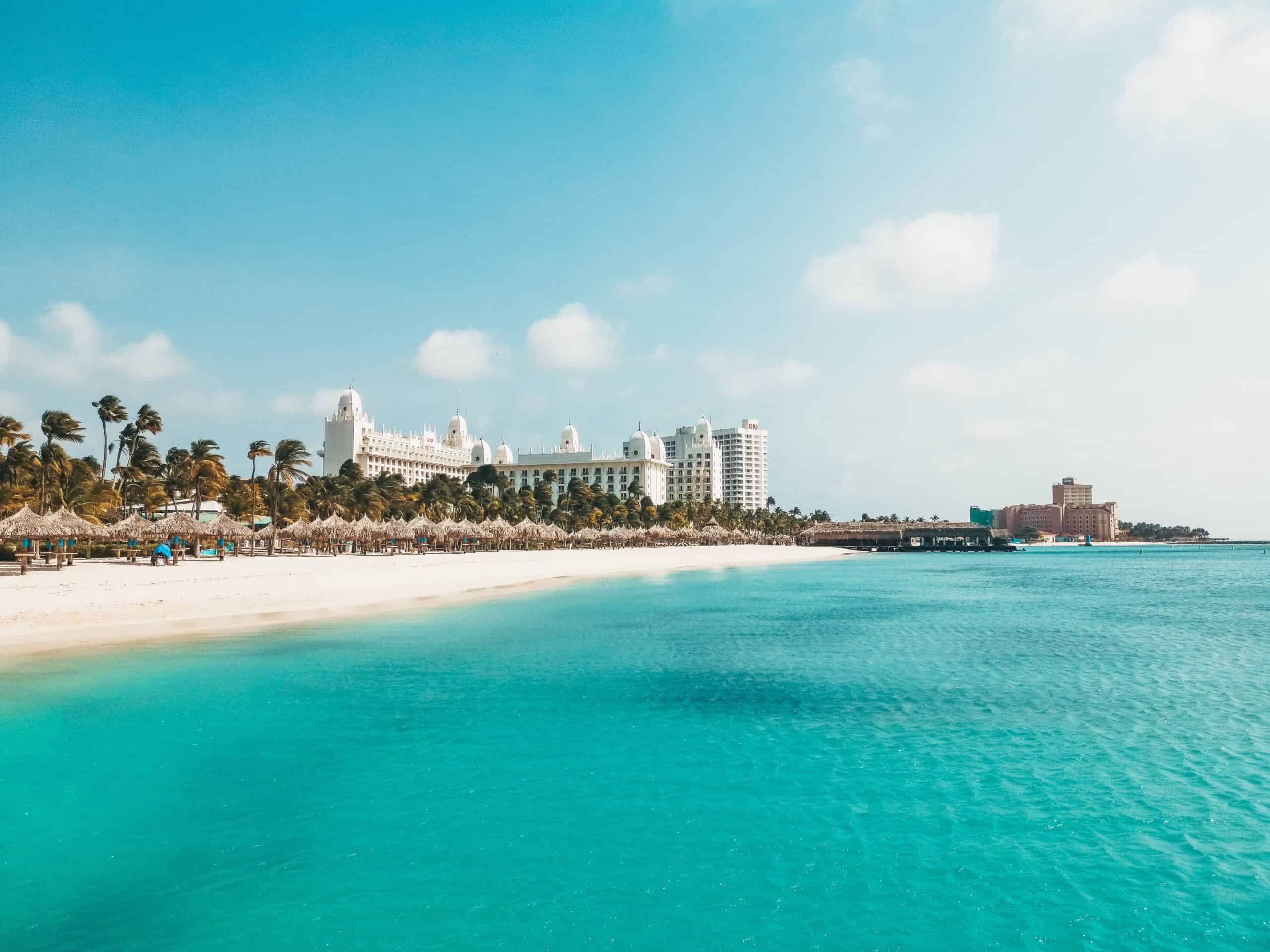 Palm beach in Aruba , Aruba vs Curacao - Which is the Better Caribbean Trip?