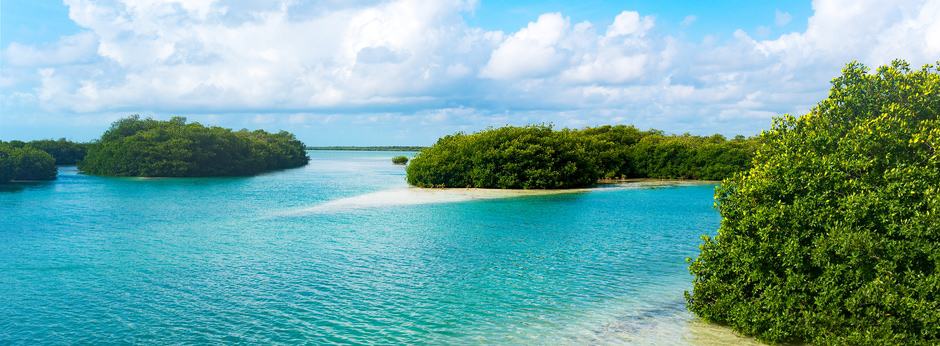 Akumal vs Tulum - Which is the Better Vacation?