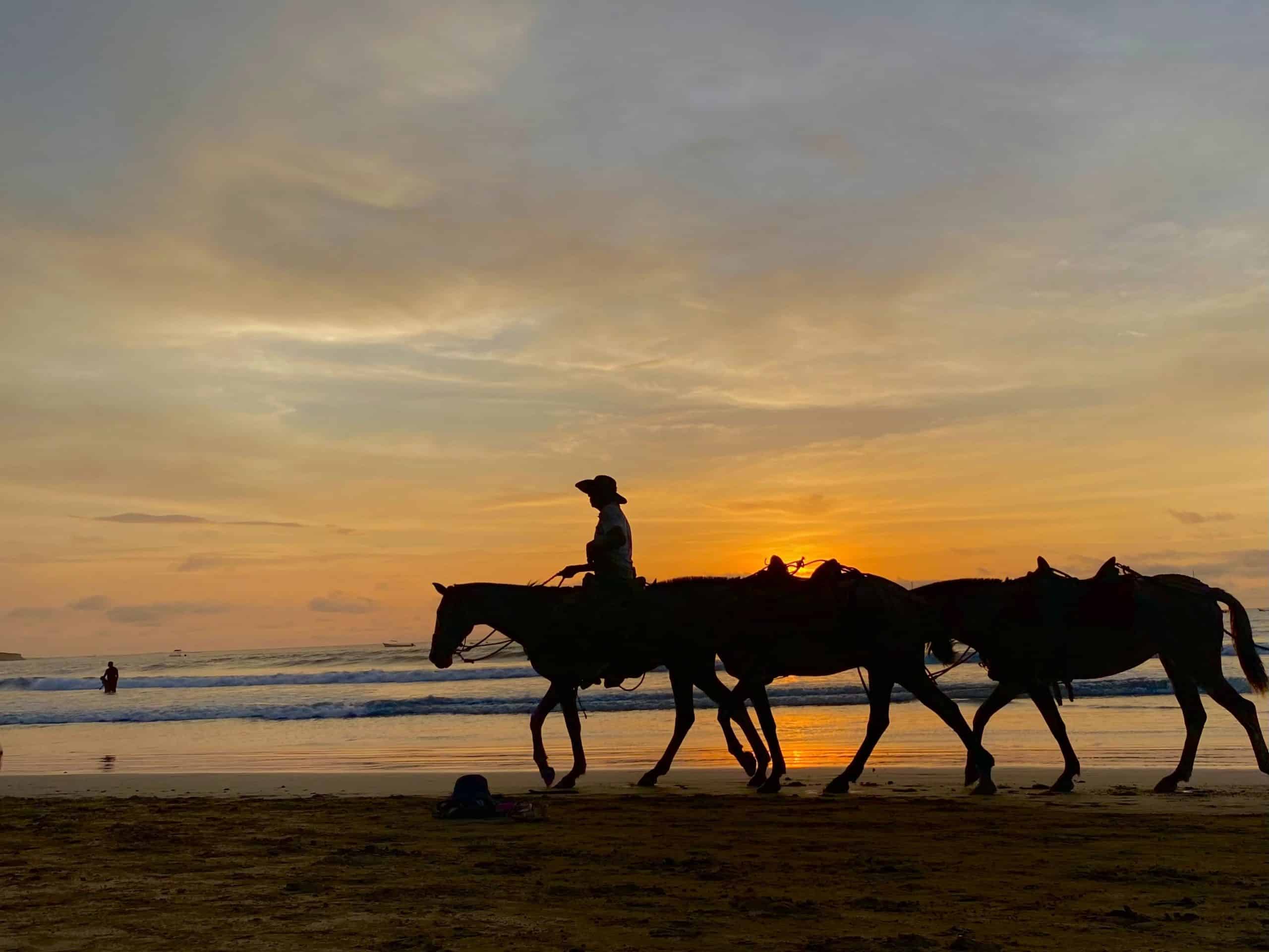 Nosara vs Tamarindo - Which is the Better Vacation in Costa Rica?, Tamarindo vs Nosara, Nosara vs Tamarindo