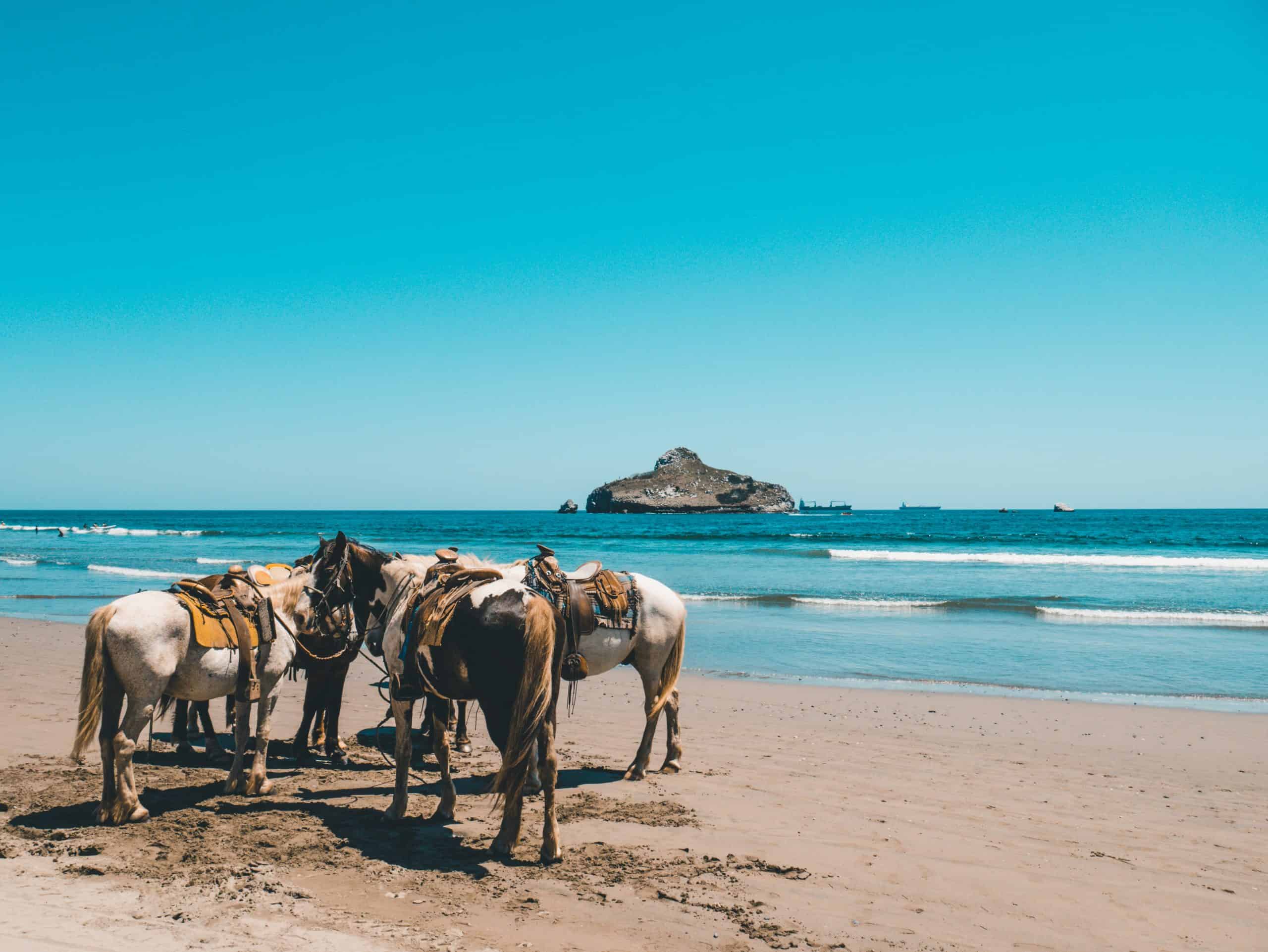 Mazatlan Beach - Puerto Vallarta vs Mazatlan, Mazatlan vs Puerto Vallarta