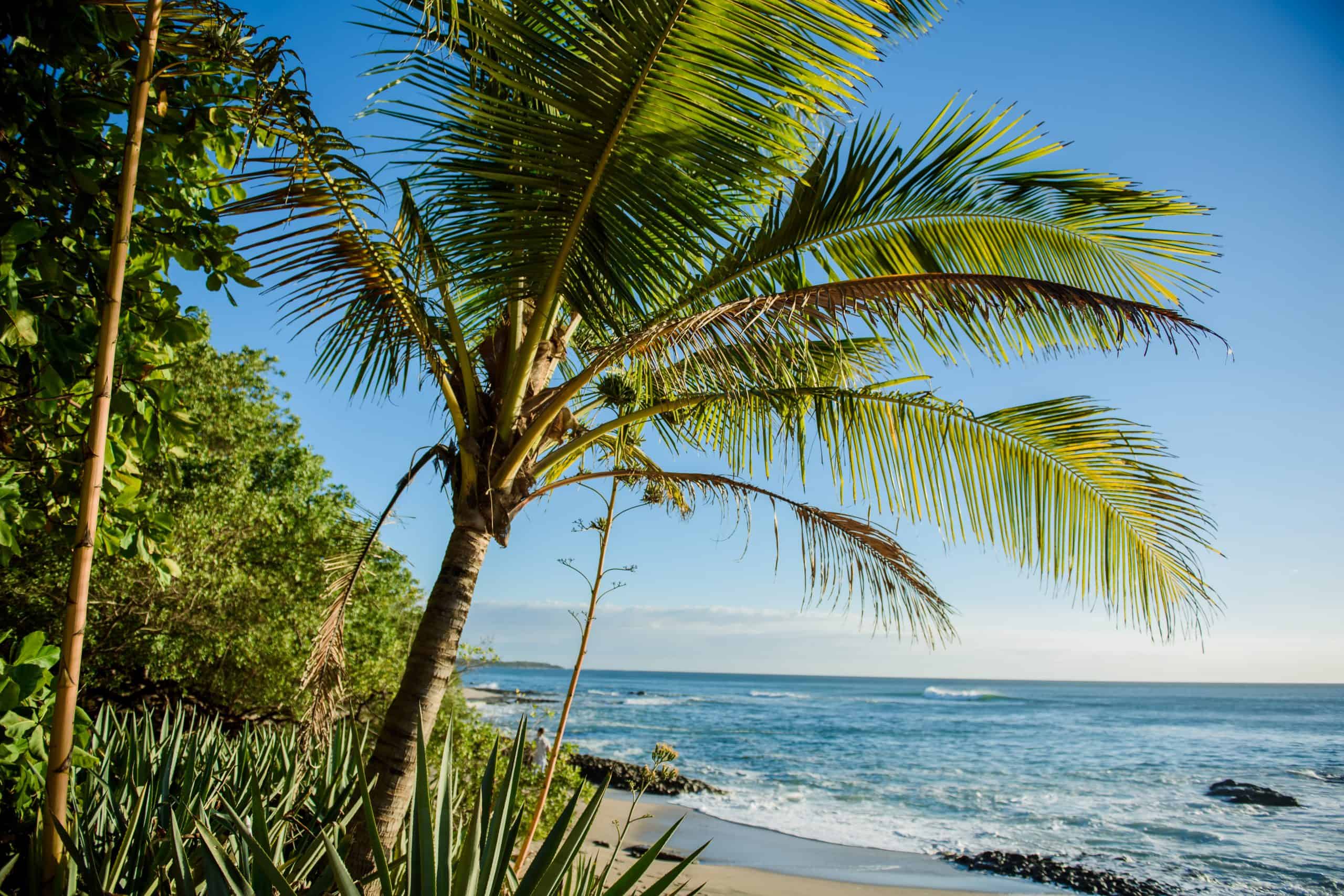 Nosara vs Tamarindo - Which is the Better Vacation in Costa Rica? Tamarindo vs Nosara