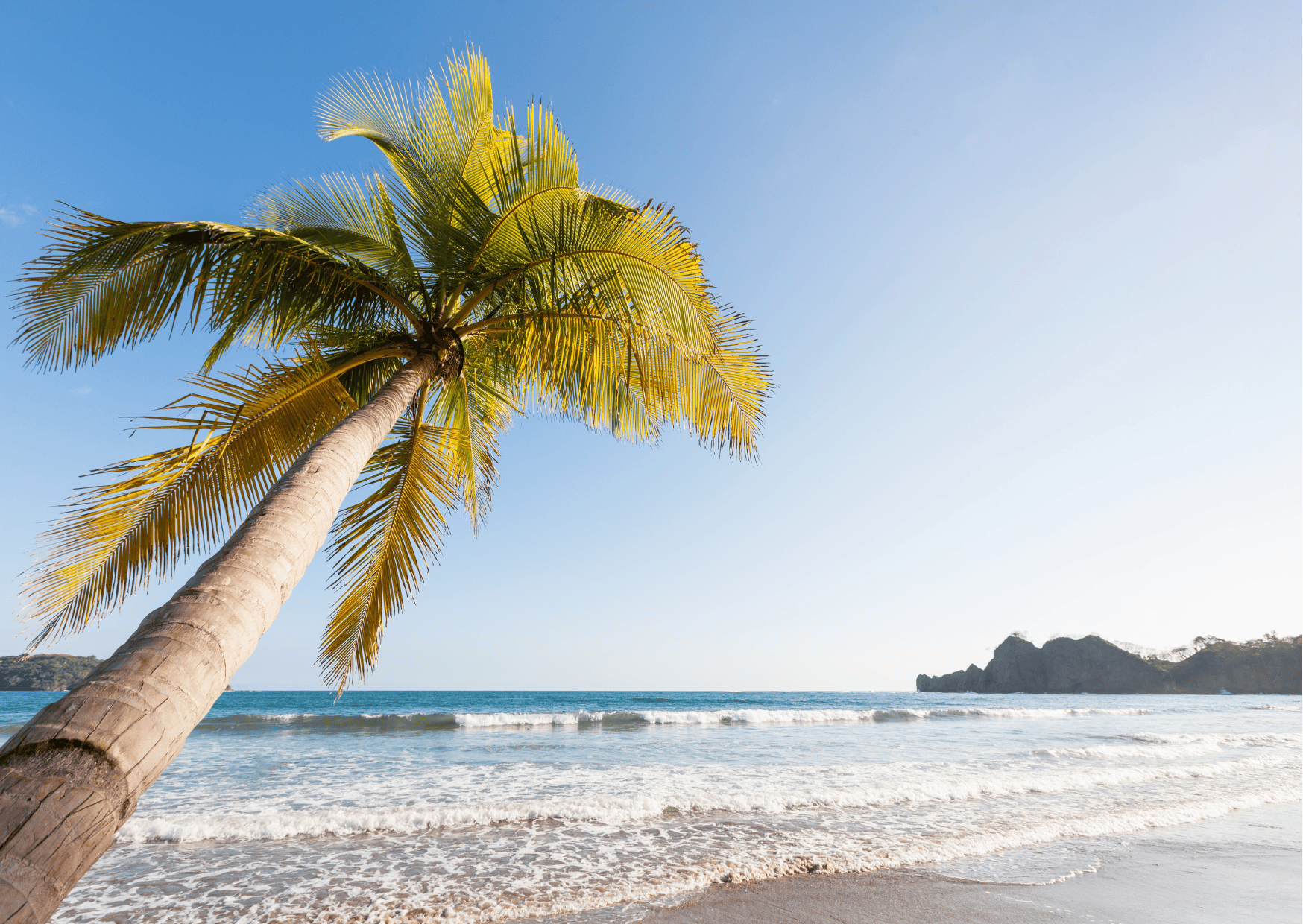 Nosara vs Tamarindo - Which is the Better Vacation in Costa Rica? Tamarindo vs Nosara
