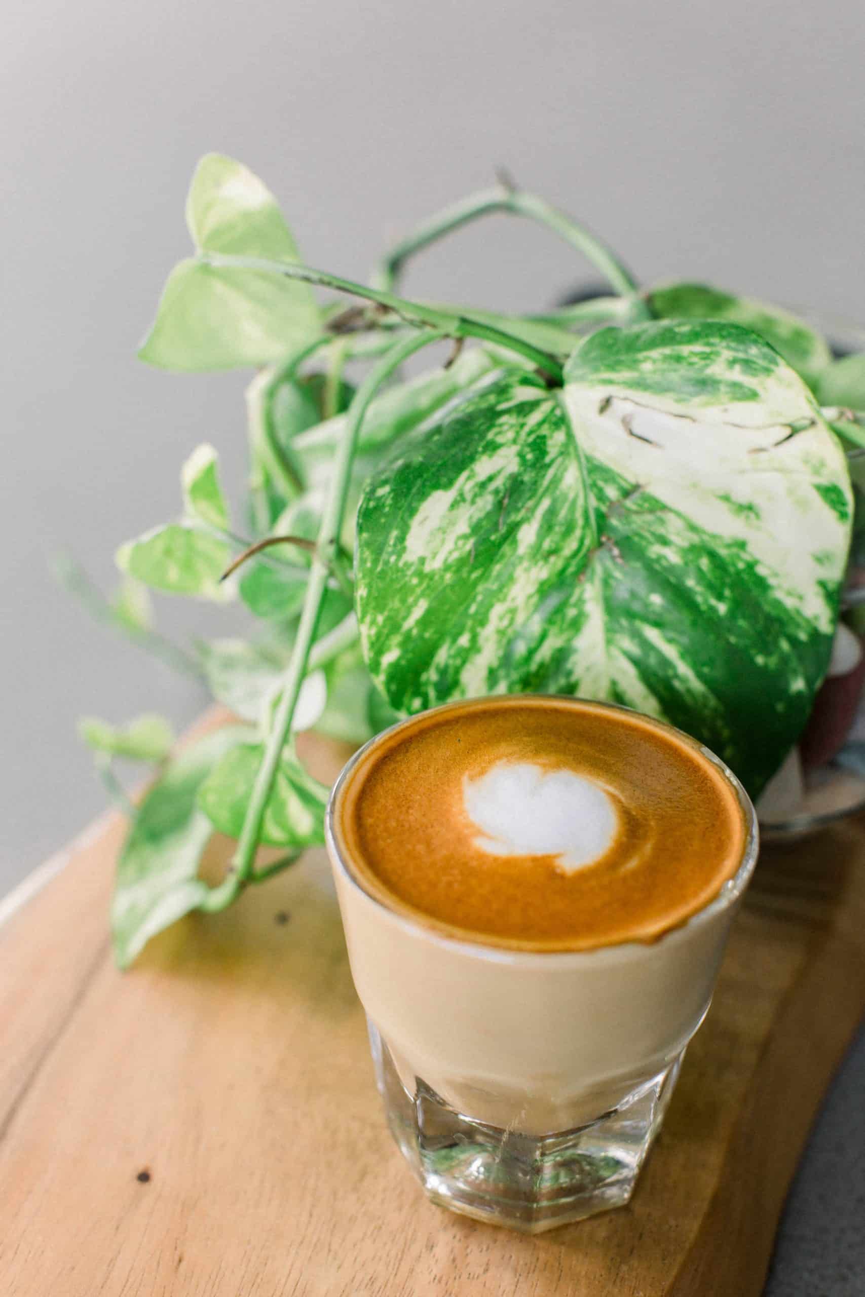 cafe cortado Spanish breakfast - breakfast in Spain