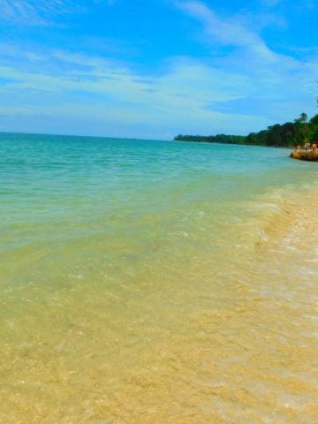 How To Get From San Jose To Cahuita – All Possible Ways, San Jose to La Cahuita, San Jose airport to La Cahuita, cheapest way from San Jose to La Cahuita, best way from San Jose to La Cahuita, San Jose to La Cahuita by bus, bus from San Jose to La Cahuita, taxi from San Jose to La Cahuita, Uber from San Jose to La Cahuita, private transfer from San Jose to La Cahuita, Shared Van from San Jose to La Cahuita, rent a car at San Jose