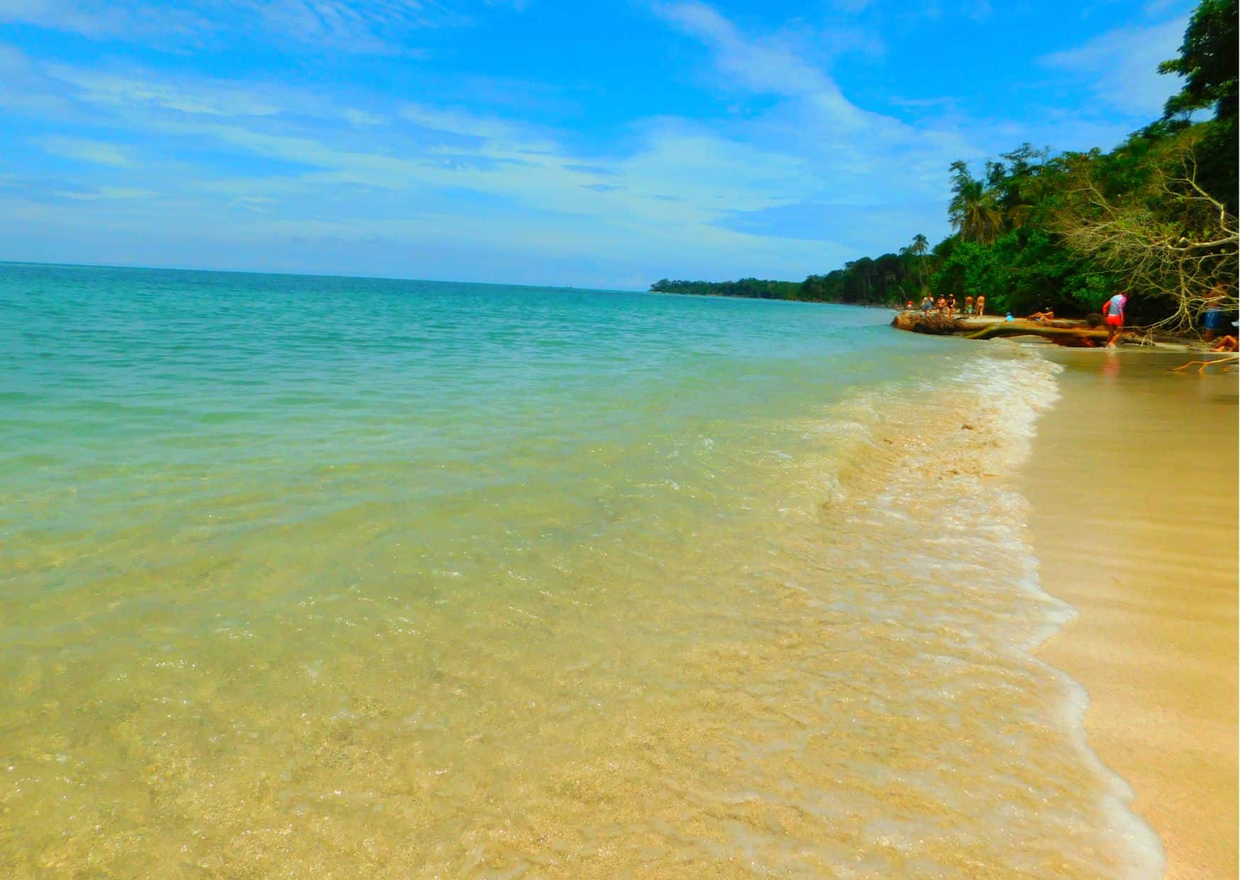 How To Get From San Jose To Cahuita – All Possible Ways, San Jose to La Cahuita, San Jose airport to La Cahuita, cheapest way from San Jose to La Cahuita, best way from San Jose to La Cahuita, San Jose to La Cahuita by bus, bus from San Jose to La Cahuita, taxi from San Jose to La Cahuita, Uber from San Jose to La Cahuita, private transfer from San Jose to La Cahuita, Shared Van from San Jose to La Cahuita, rent a car at San Jose
