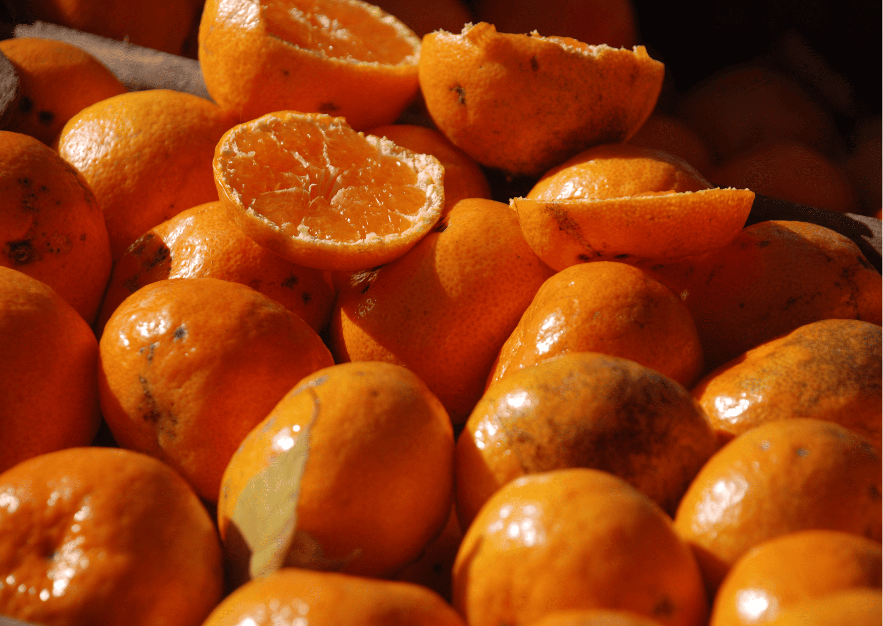Fruits in Dominican Republic - Traditional and Exotic Fruits in Dominican Republic You Can't Miss