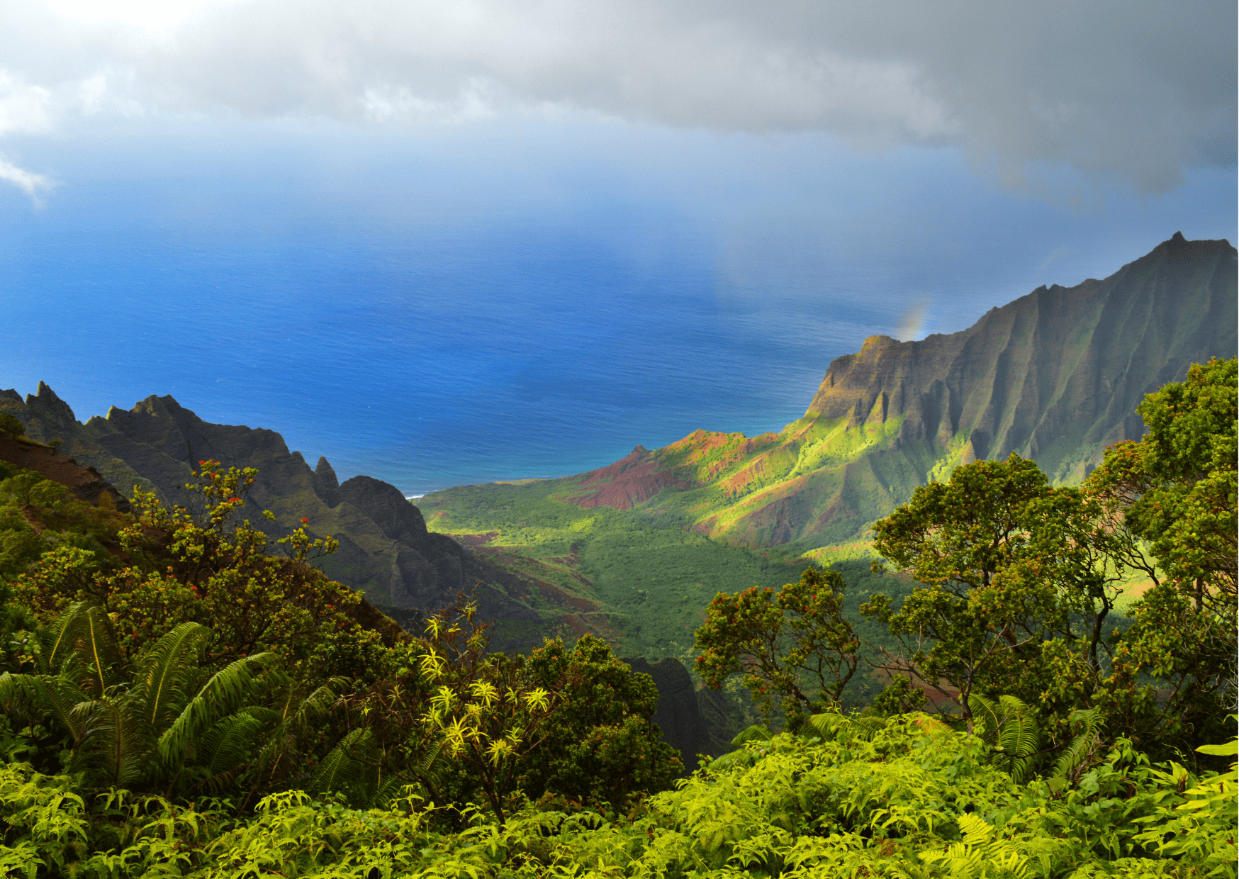 OAHU VS KAUAI