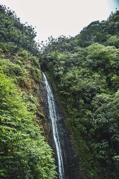 Honolulu vs Kauai - Which is the Better Vacation?