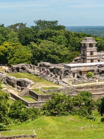 How To Get From Cancun To Palenque By Bus - All Possible Ways, cheapest way from Cancun to Palenque, Cancun to Palenque, ado bus from Cancun to Palenque, occ bus from Cancun to Palenque, AU autobuses unidos from Cancun to Palenque, shared van from Cancun to Palenque, Colectivo from Cancun to Palenque, Uber from Cancun to Palenque, taxi from Cancun to Palenque