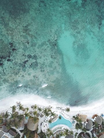 Comparison Tulum vs Playa del Carmen – Is Playa del Carmen Better? , How To Get From Palenque to Playa del Carmen By Bus - All Possible Ways, cheapest way from Palenque to Playa del Carmen, Palenque to Playa del Carmen, ado bus from Palenque to Playa del Carmen, occ bus from Palenque to Playa del Carmen, AU autobuses unidos from Palenque to Playa del Carmen, shared van from Palenque to Playa del Carmen, Colectivo from Palenque to Playa del Carmen, Uber from Palenque to Playa del Carmen, taxi from Palenque to Playa del Carmen