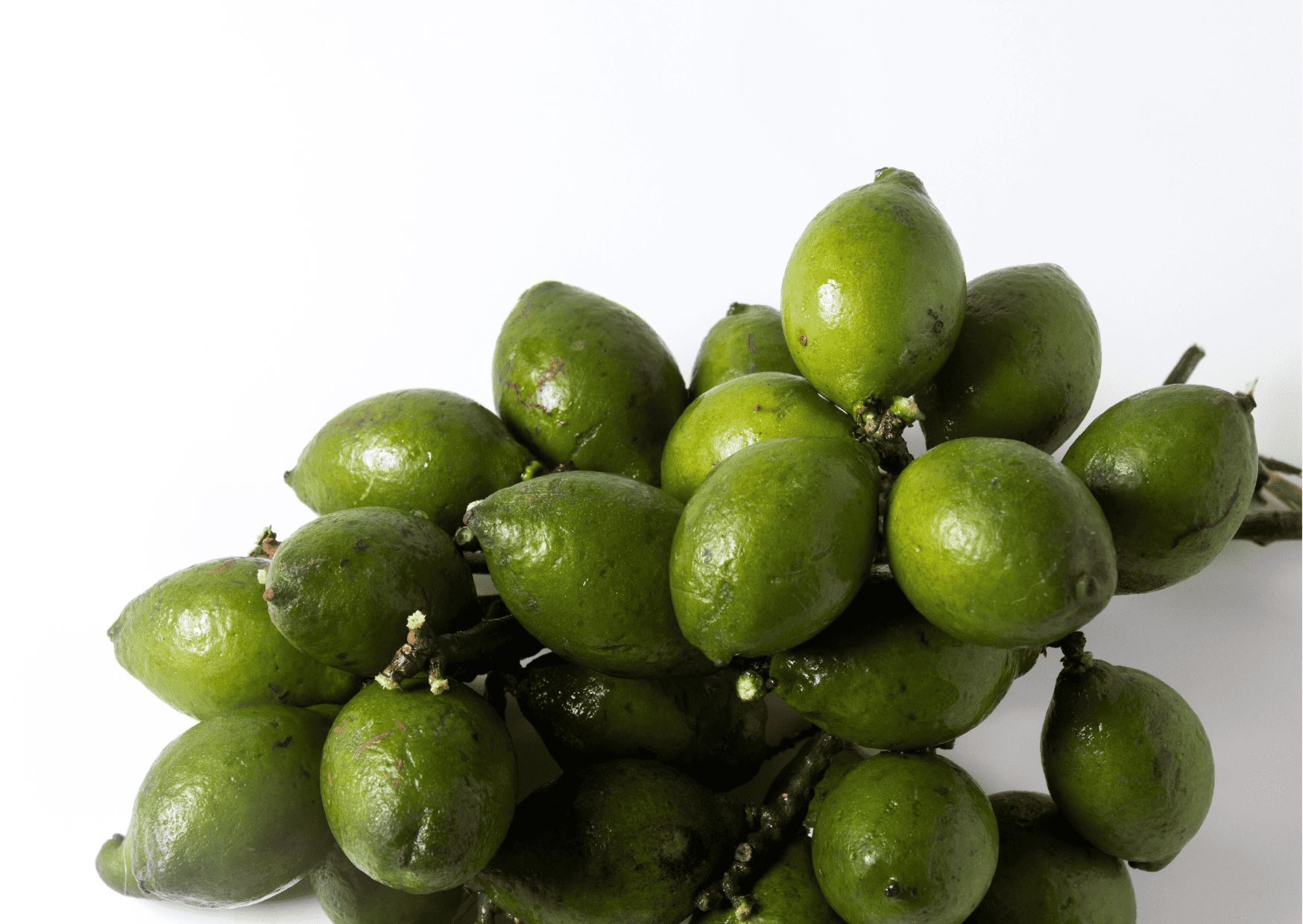 Mamon, Mamoncillo - Fruits in Panama, Panamanian Fruits, Exotic Fruits in Panama