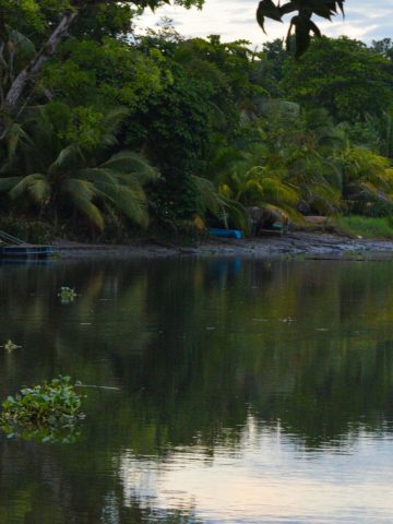 How To Get From Jaco to Sierpe Best Way – All Possible Ways, Jaco to Sierpe, Jaco to Sierpe transfer, cheapest way from Jaco to Sierpe, bus from Jaco to Sierpe, from Jaco to Sierpe by bus, best way from Jaco to Sierpe, taxi from Jaco to Sierpe, private transfer from Jaco to Sierpe, Shared Van from Jaco to Sierpe, rent a car in Jaco, uber from Jaco to Sierpe