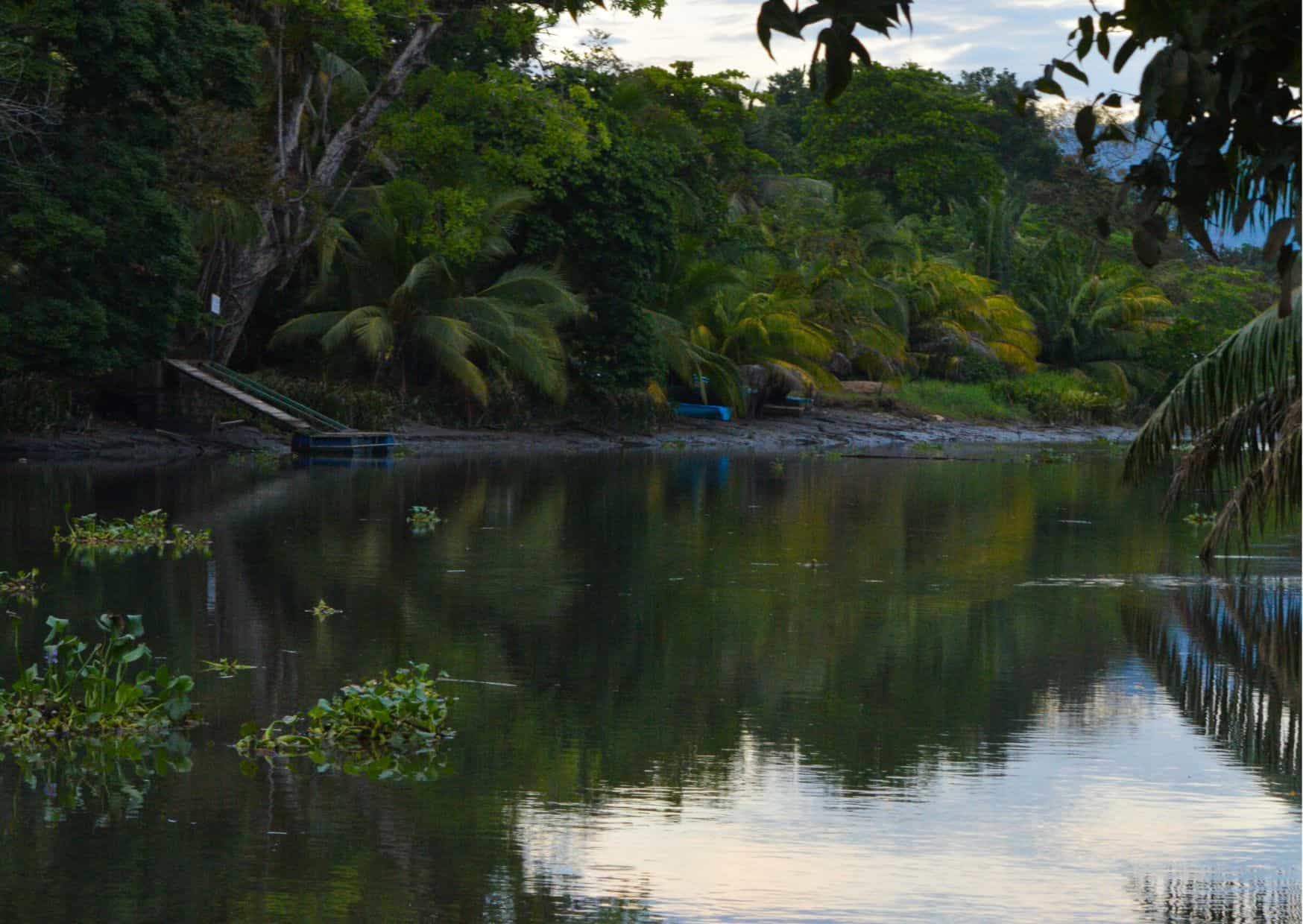 How To Get From Jaco to Sierpe Best Way – All Possible Ways, Jaco to Sierpe, Jaco to Sierpe transfer, cheapest way from Jaco to Sierpe, bus from Jaco to Sierpe, from Jaco to Sierpe by bus, best way from Jaco to Sierpe, taxi from Jaco to Sierpe, private transfer from Jaco to Sierpe, Shared Van from Jaco to Sierpe, rent a car in Jaco, uber from Jaco to Sierpe