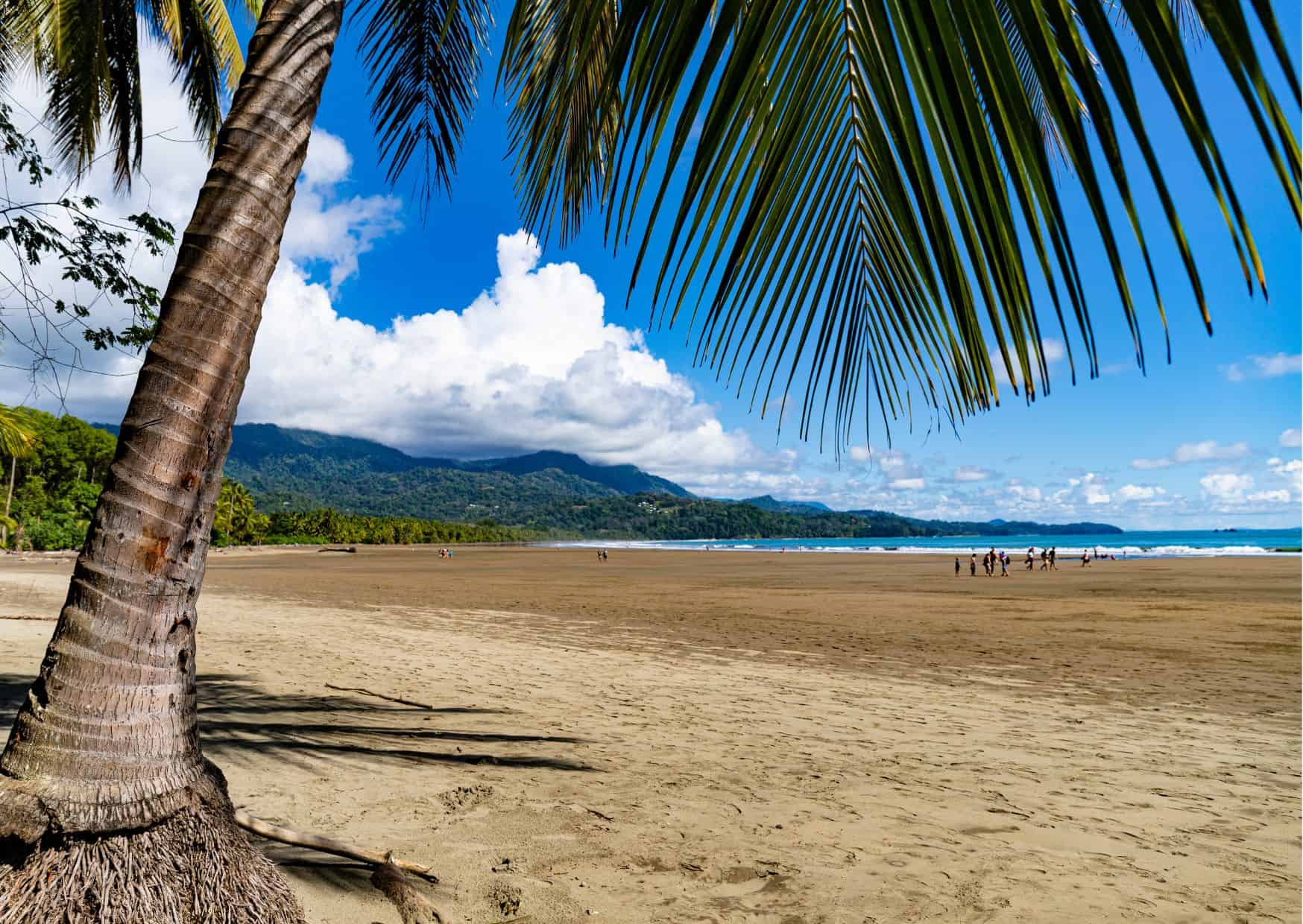 10 Beautiful Towns in Costa Rica, How To Get From San Jose to Ojochal Best Way, San Jose airport to Ojochal, San Jose to Ojochal, cheapest way from San Jose to Ojochal, San Jose to Ojochal by bus, bus from San Jose to Ojochal, taxi from San Jose to Ojochal, UBER from San Jose to Ojochal, private transfer from San Jose to Ojochal, Shared Van from San Jose to Ojochal, rent a car in San Jose airport,