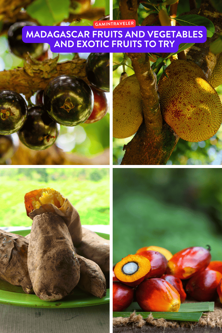 Madagascar Fruits and Vegetables and Exotic Fruits to Try
