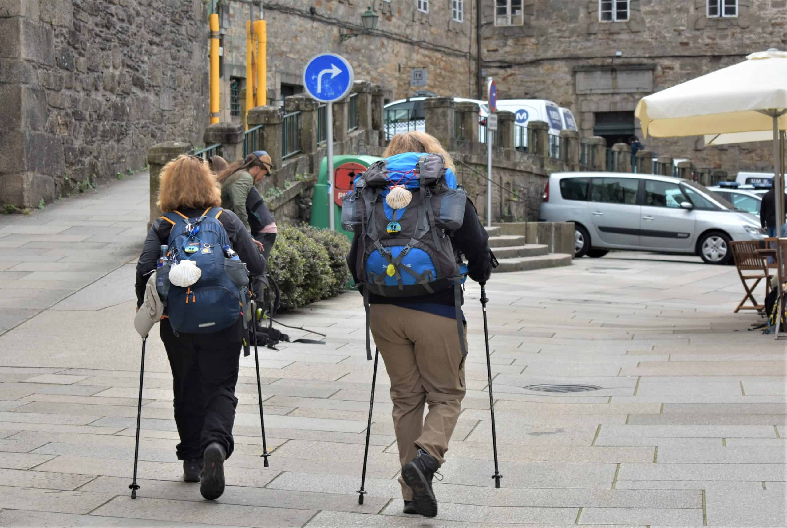 French, Spanish Or Portuguese Camino de Santiago: Which Is the Best Route?, A Comprehensive Guide to the Camino Francés Route