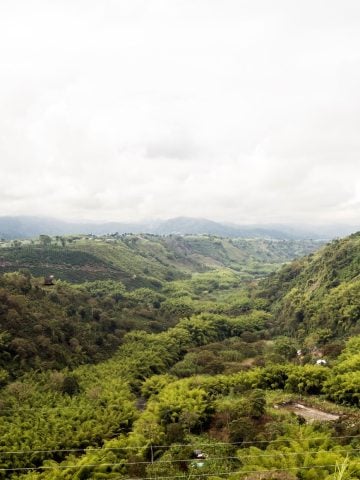 How To Get From Medellin to Armenia Best Way, best way from Medellin to Armenia, cheapest way from Medellin to Armenia, Medellin to Armenia, bus from Medellin to Armenia, by plane from Medellin to Armenia, Medellin to Armenia by van, Medellin to Armenia by bus,