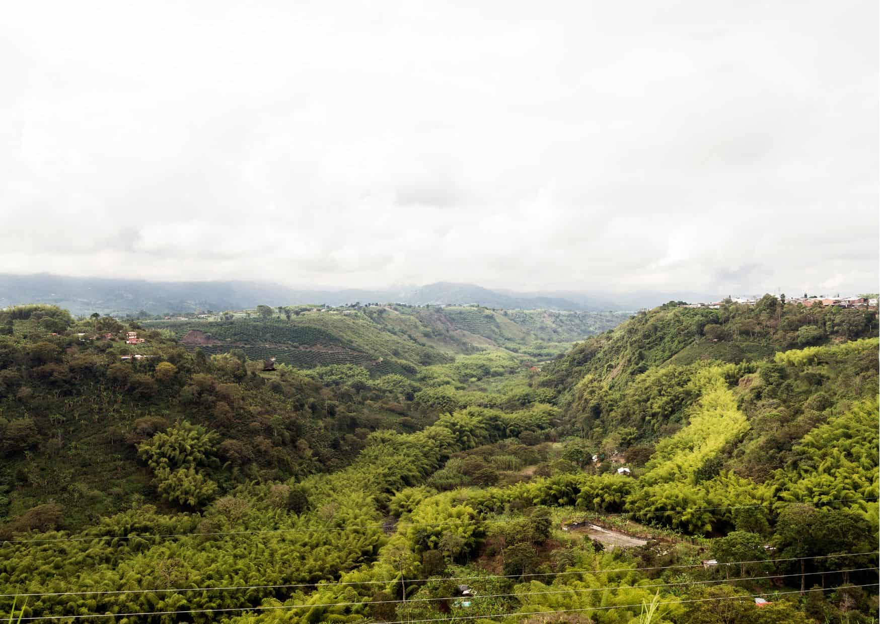 How To Get From Medellin to Armenia Best Way, best way from Medellin to Armenia, cheapest way from Medellin to Armenia, Medellin to Armenia, bus from Medellin to Armenia, by plane from Medellin to Armenia, Medellin to Armenia by van, Medellin to Armenia by bus,