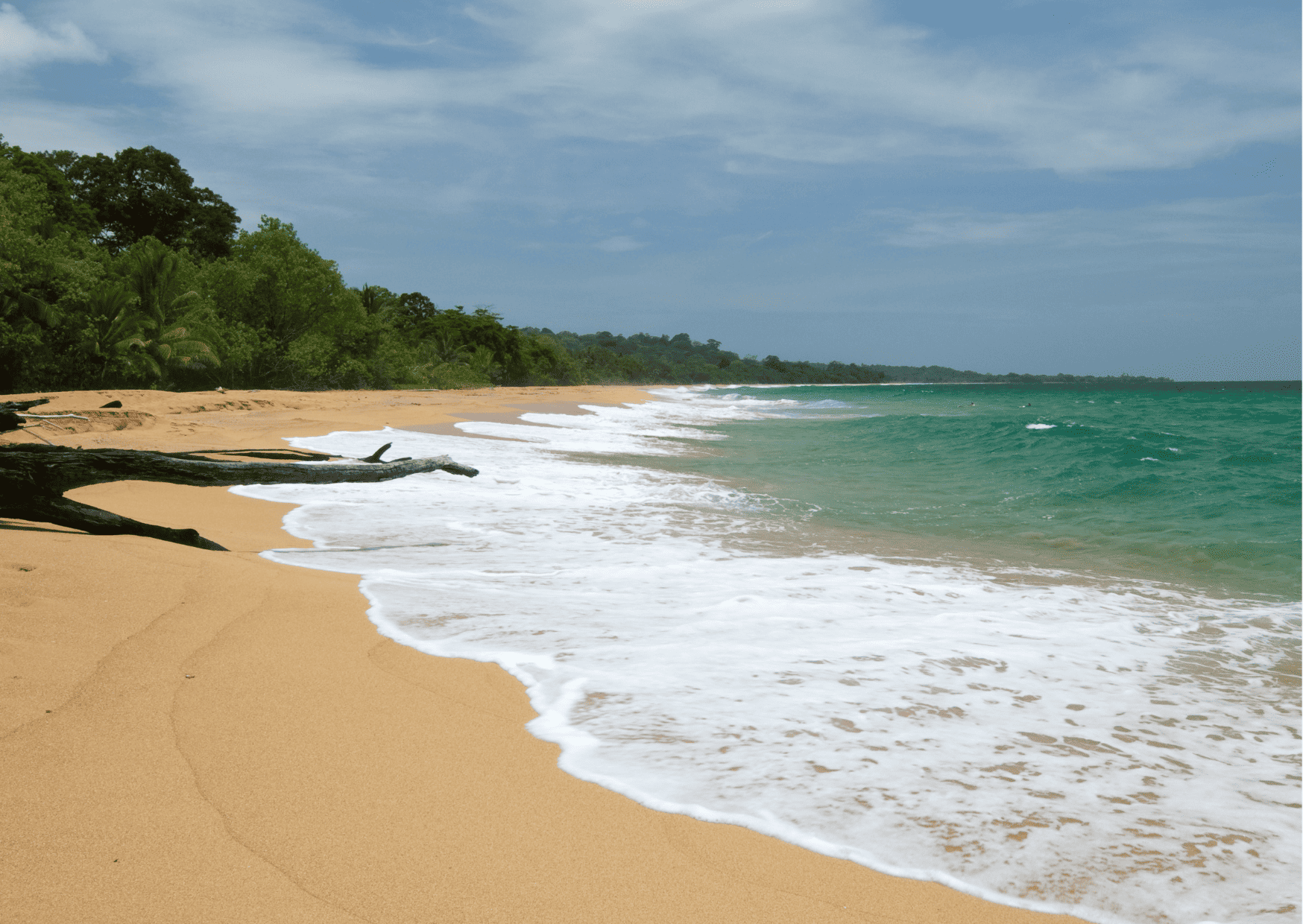 bocas del toro tours