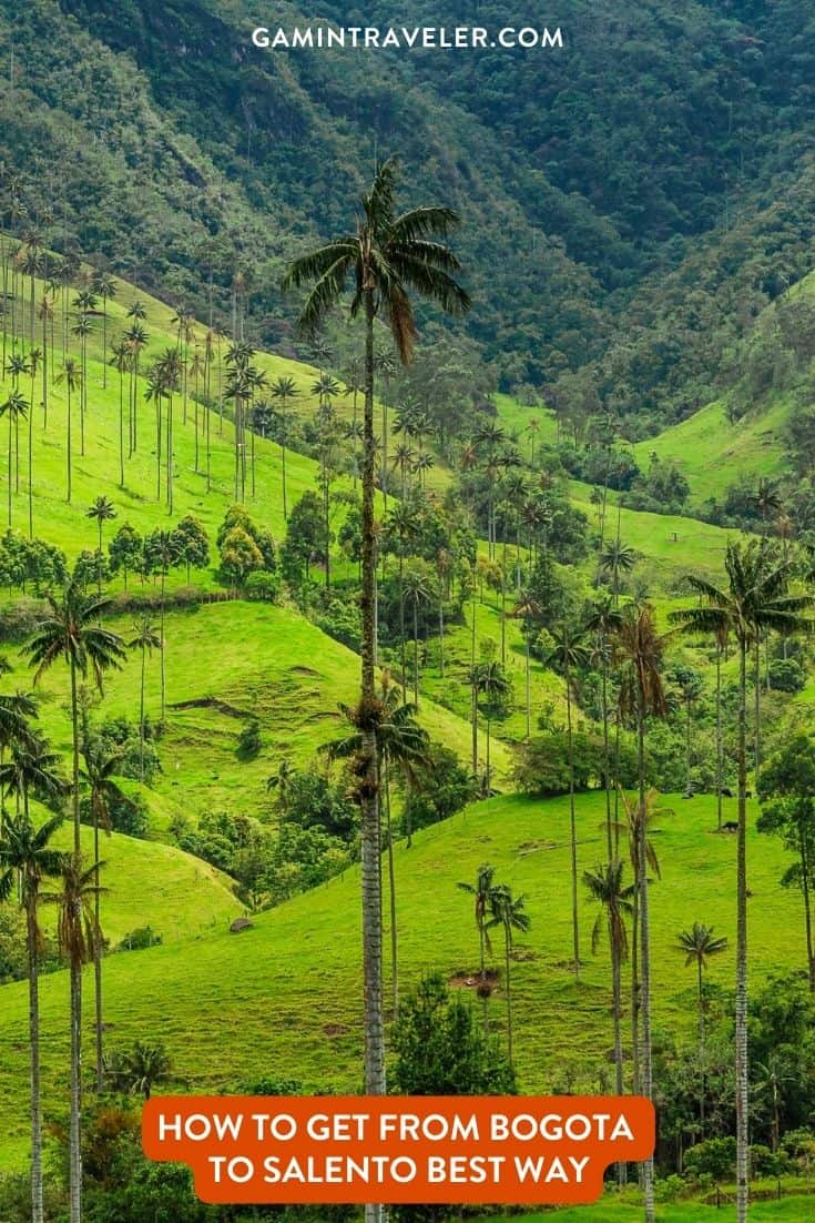 How To Get From Bogota to Salento Best Way, best way from Bogota to Salento, cheapest way from Bogota to Salento, Bogota to Salento, bus from Bogota to Salento, by plane from Bogota to Salento, Bogota to Salento by van, Bogota to Salento by bus, 
