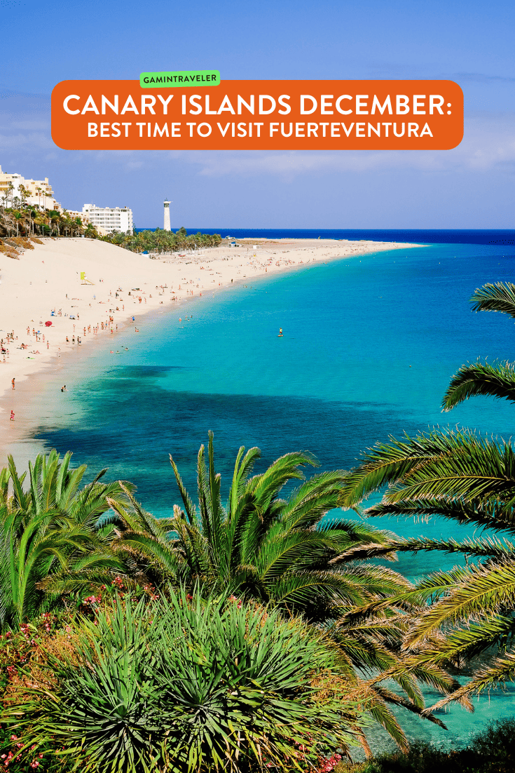 Canary Islands December Best Time to Visit Fuerteventura