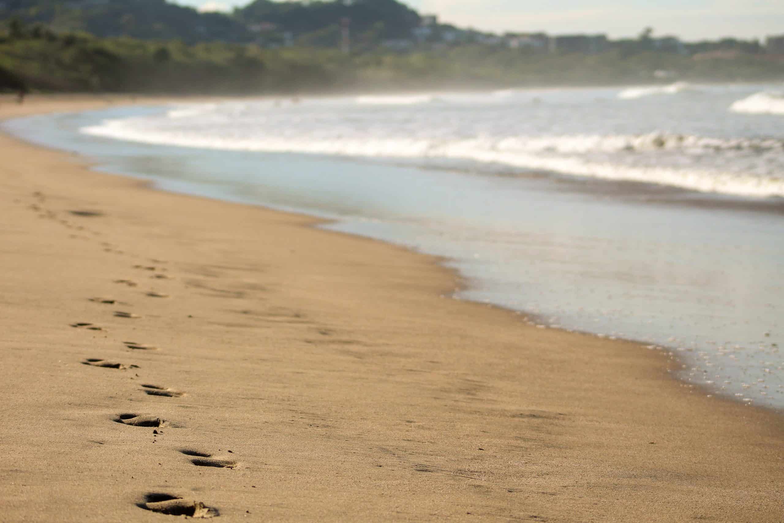 How To Get From Monteverde to Playa Grande Best Way, best way from Monteverde to Playa Grande, cheapest way from Monteverde to Playa Grande, Monteverde to Playa Grande, bus from Monteverde to Playa Grande, by van from Monteverde to Playa Grande, Monteverde to Playa Grande by van,