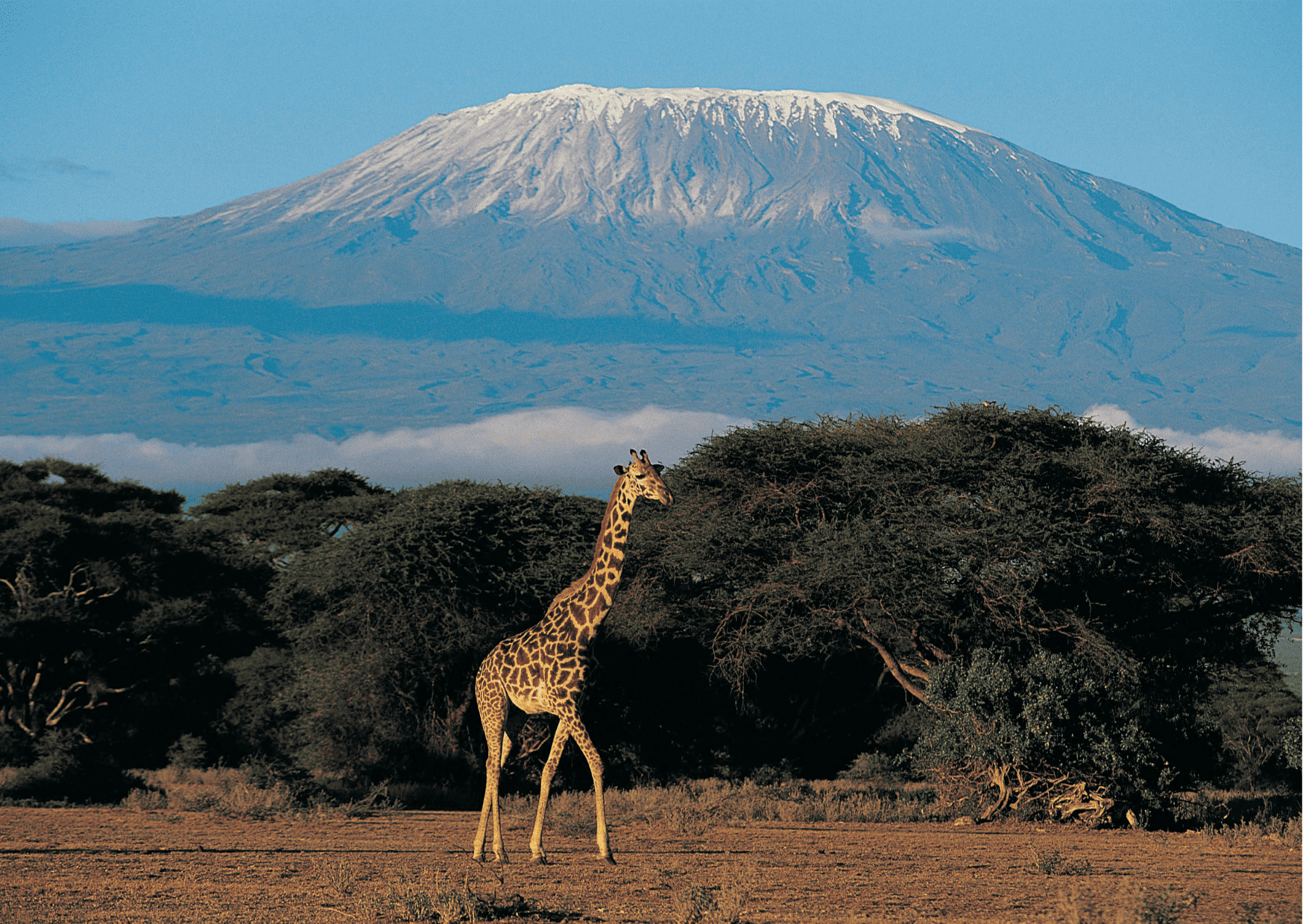 kilimajaro tours, kilimnajaro trip, kilimanjaro vacation