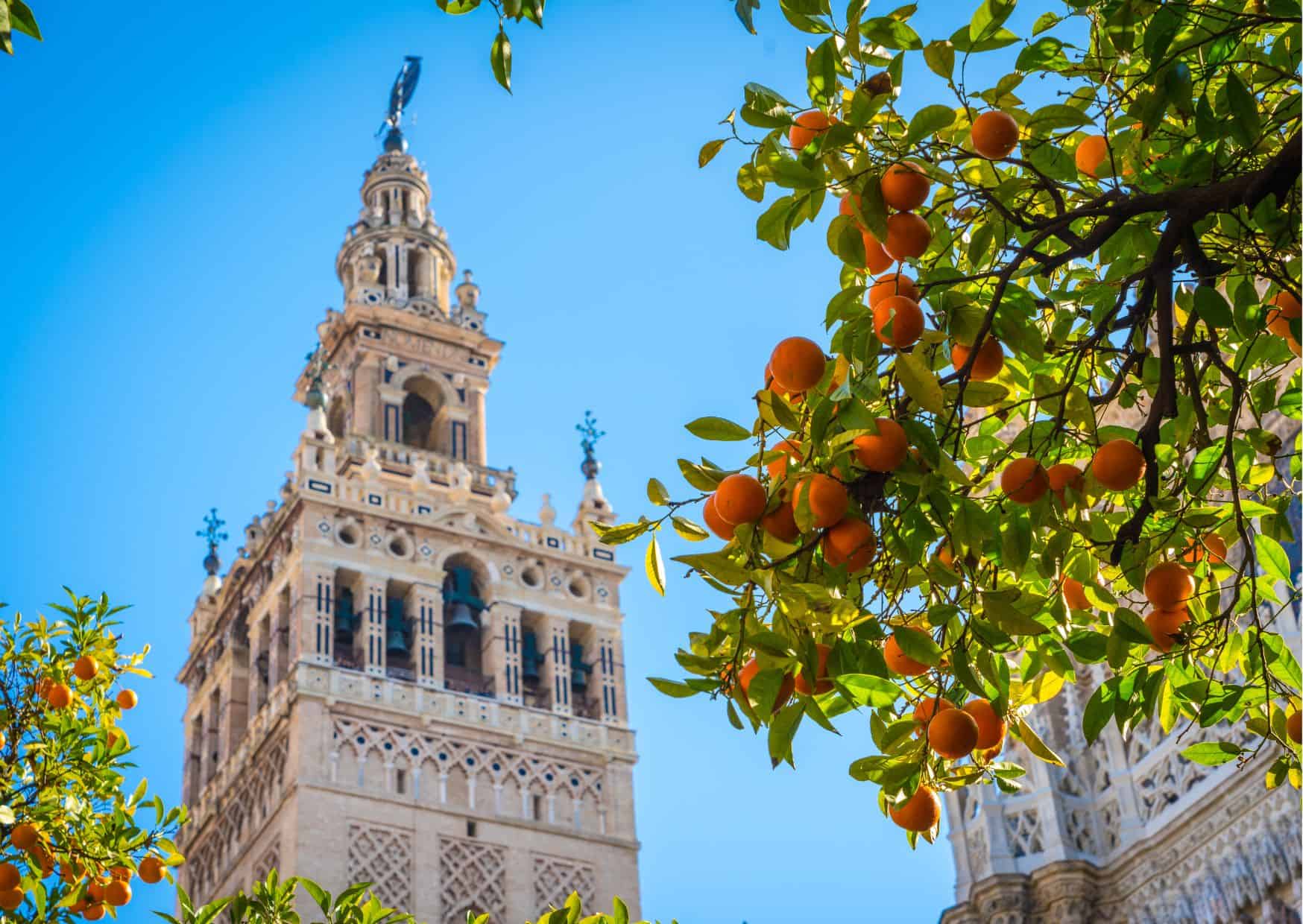 10 Common Mistakes To Avoid In Seville And How To Avoid Them, How To Get From Lagos to Seville Best Way, cheapest way from Lagos to Seville, Lagos to Seville, shuttle bus from Lagos to Seville, taxi from Lagos to Seville, Uber from Lagos to Seville, Lagos to Seville by bus, bus fare from Lagos to Seville, best way from Lagos to Seville, train from Lagos to Seville