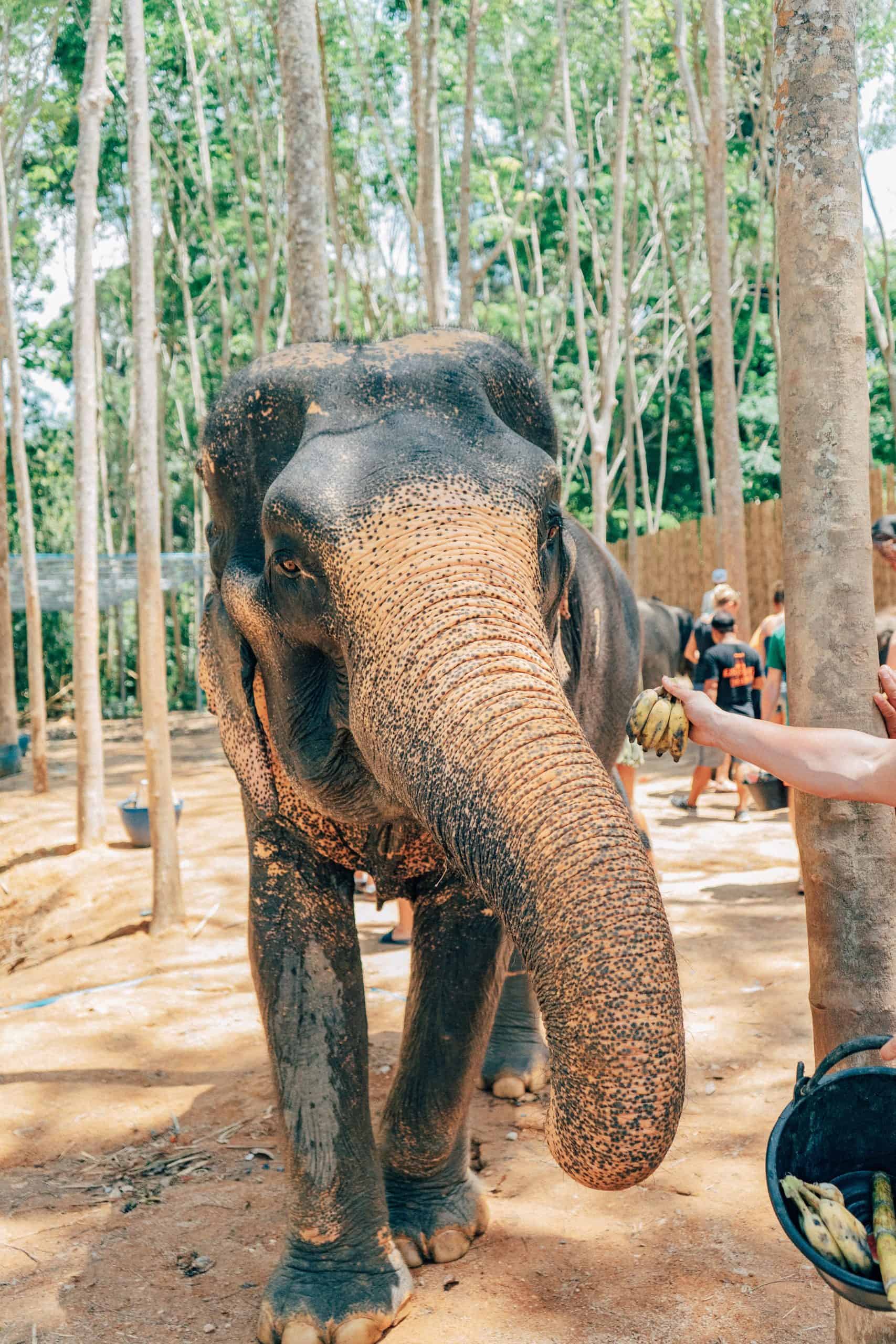 Phuket vs Bali