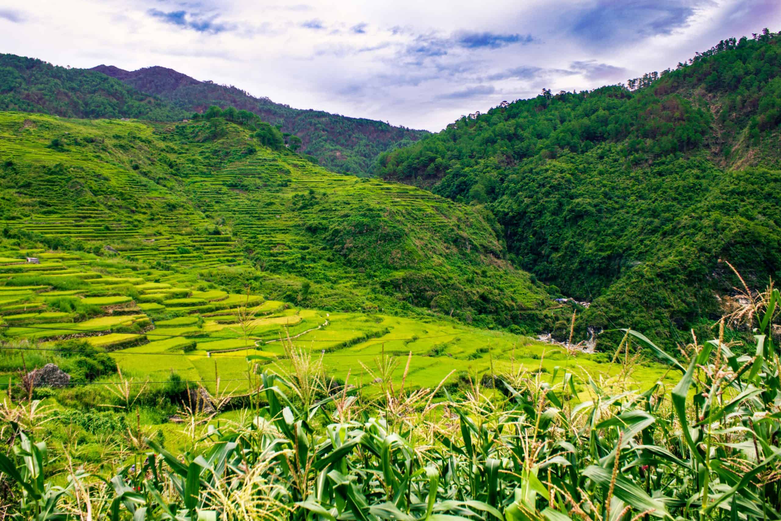 How to get from Manila to Sagada Best Way, Manila to Sagada, Manila to Sagada by bus, cheapest way from Manila to Sagada, Manila to Sagada flight, Manila to Sagada travel time, Manila to Sagada bus schedule, best way from Manila to Sagada, night bus from Manila to Sagada