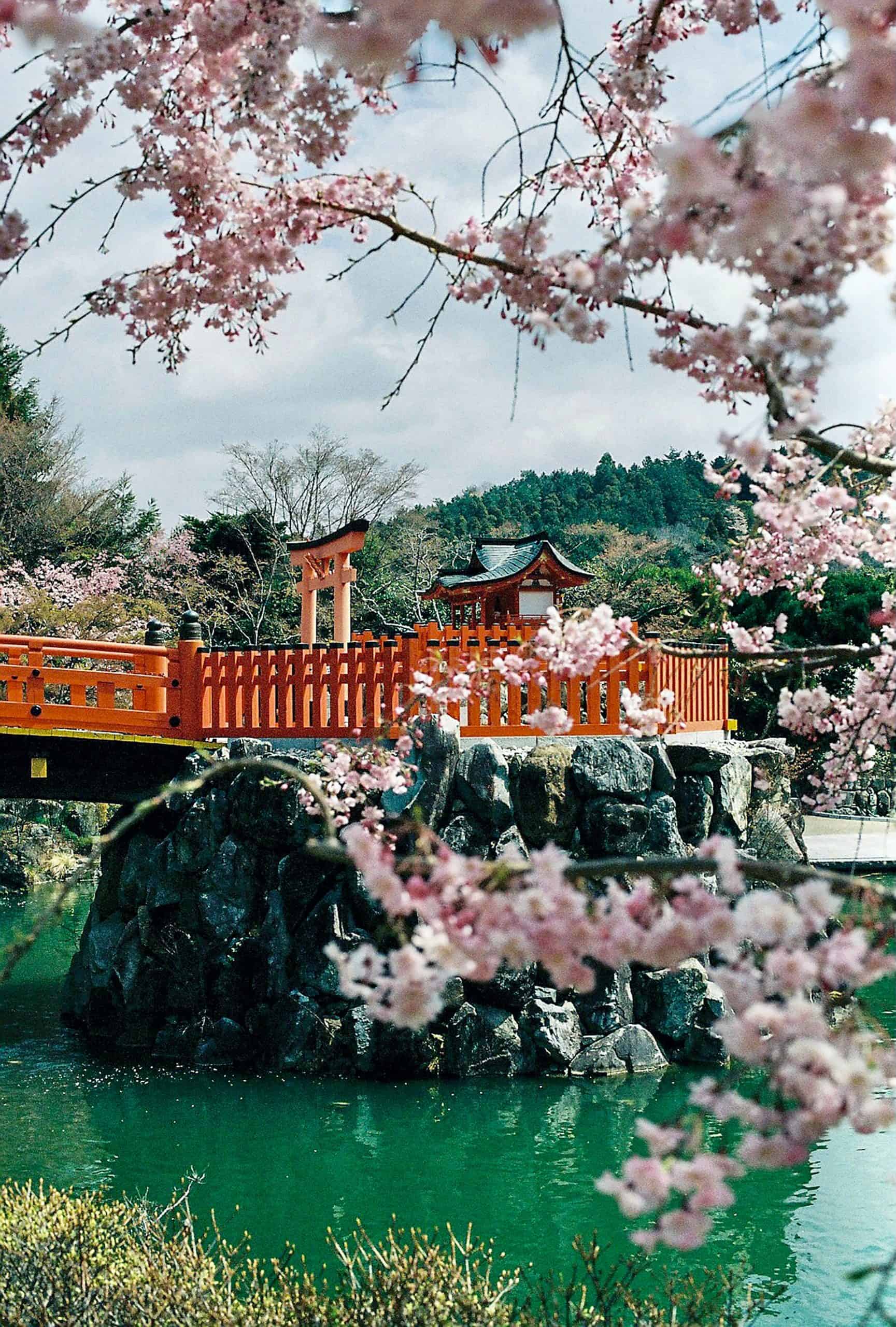 Top 20 Countries for Travel Dating: Ideal Destinations for Romantic Ventures